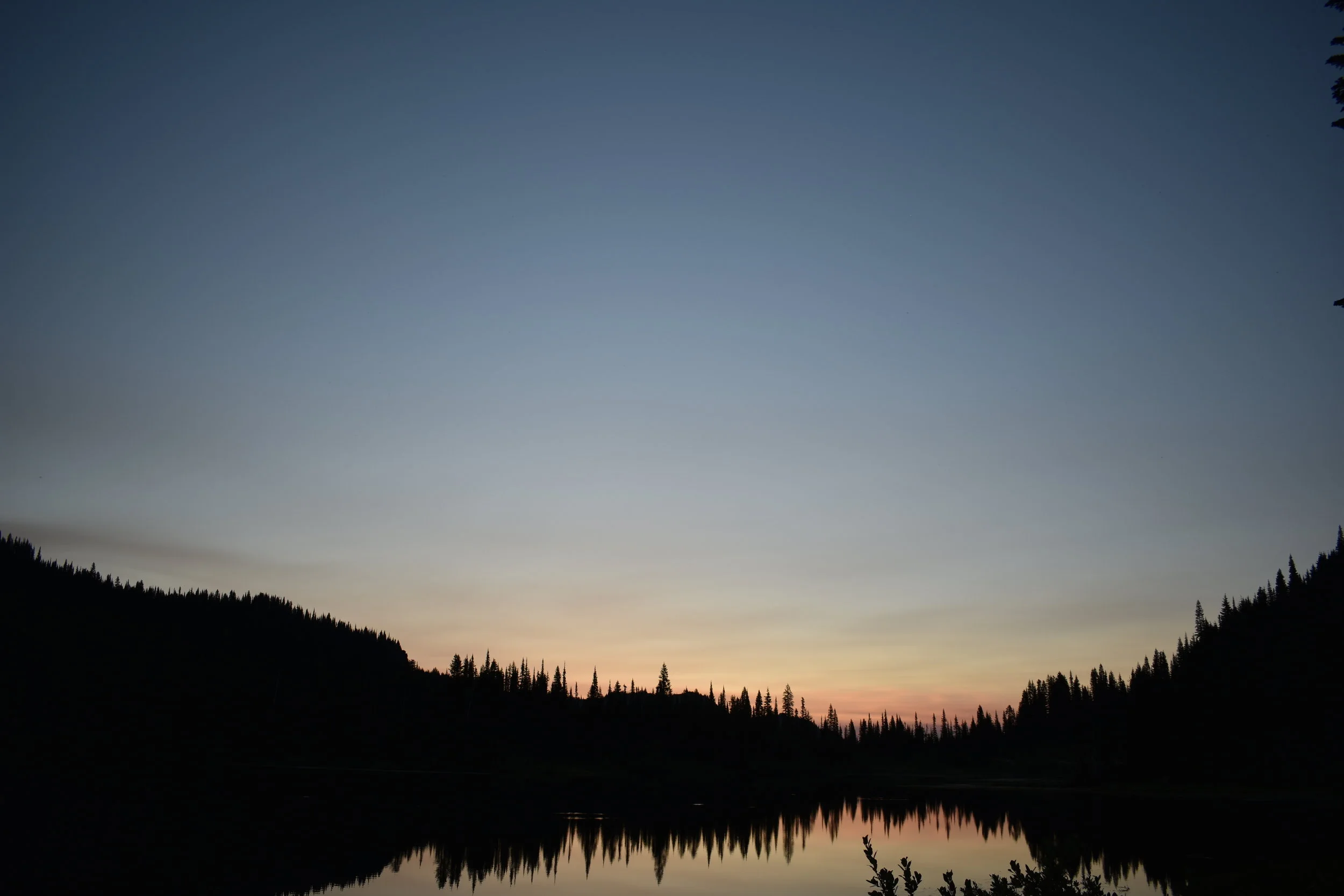 DSC_0274.JPG