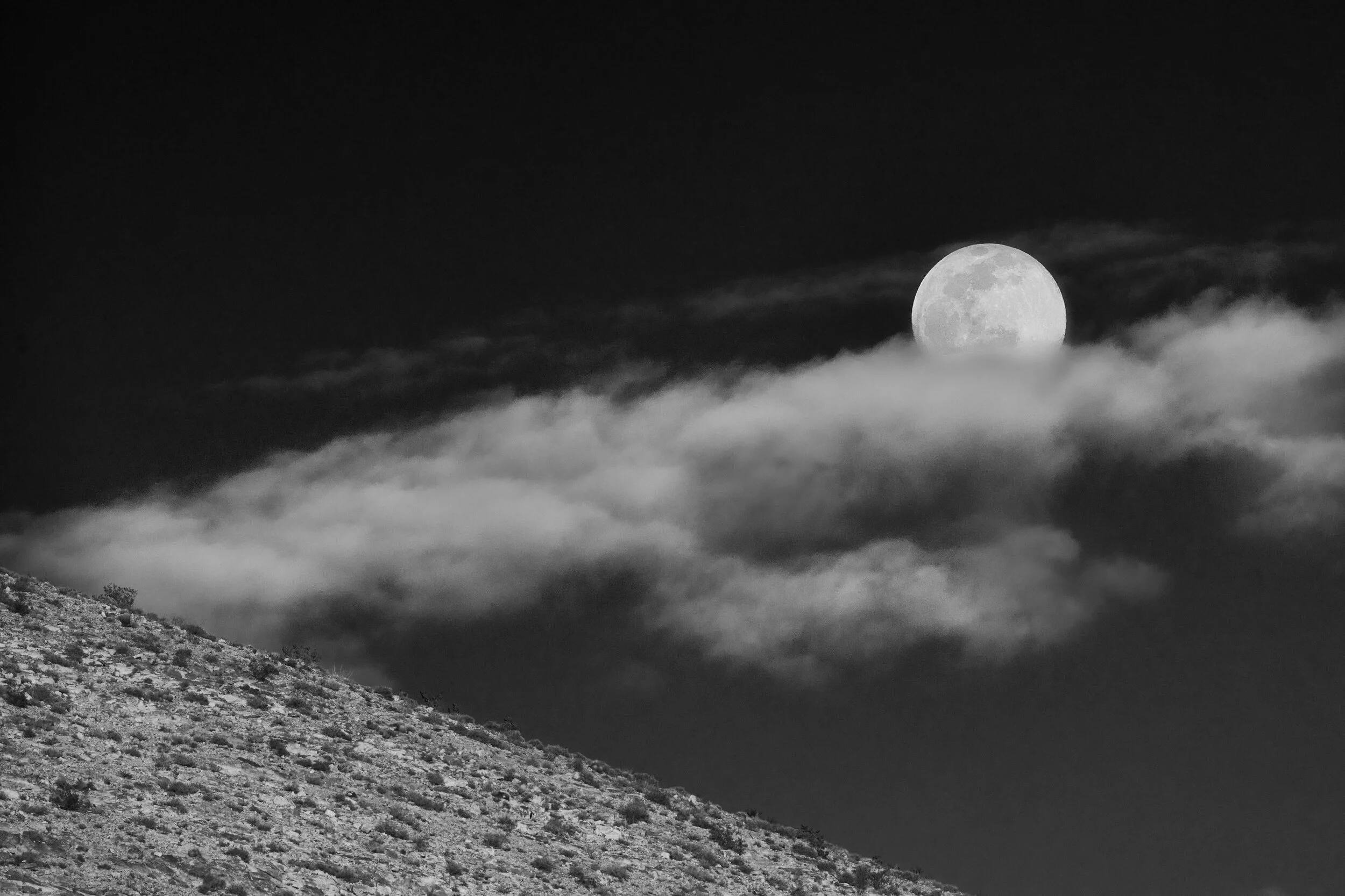 DSC_9492 1_Original.jpg