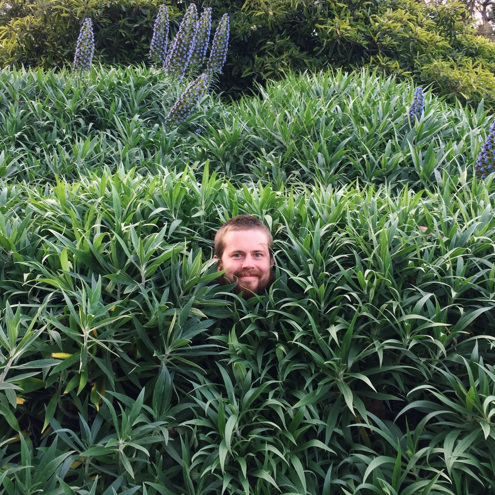jw-profilepic.jpg