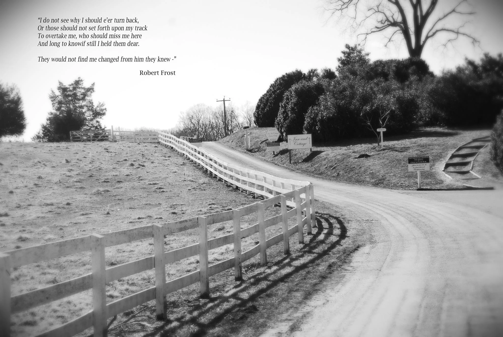road.jpg