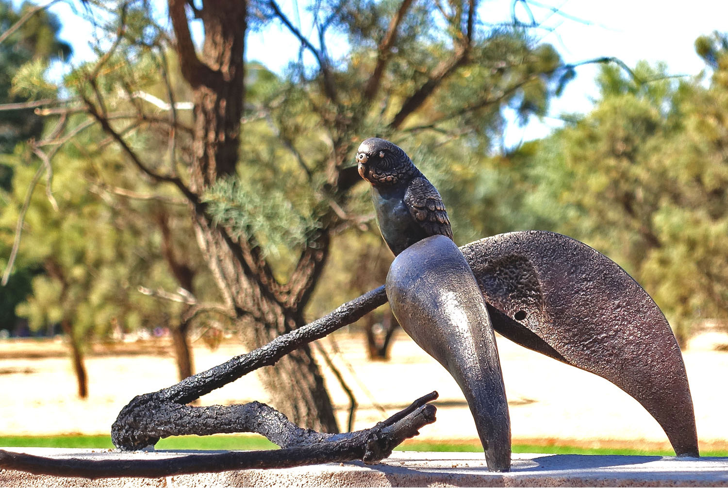 cemetery4-budgie-seedpod.jpg