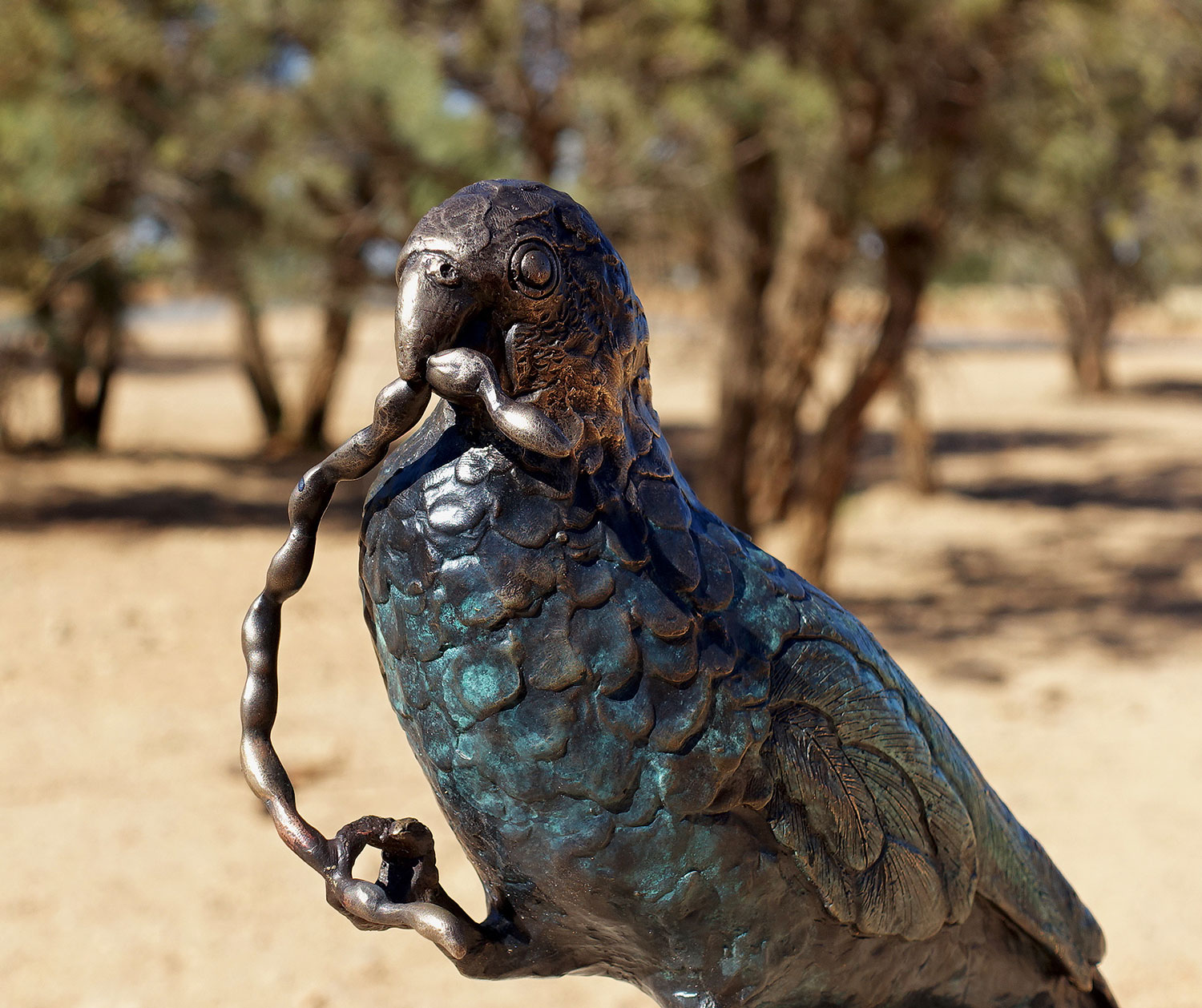 cemetery6-parrot-holding-seed.jpg