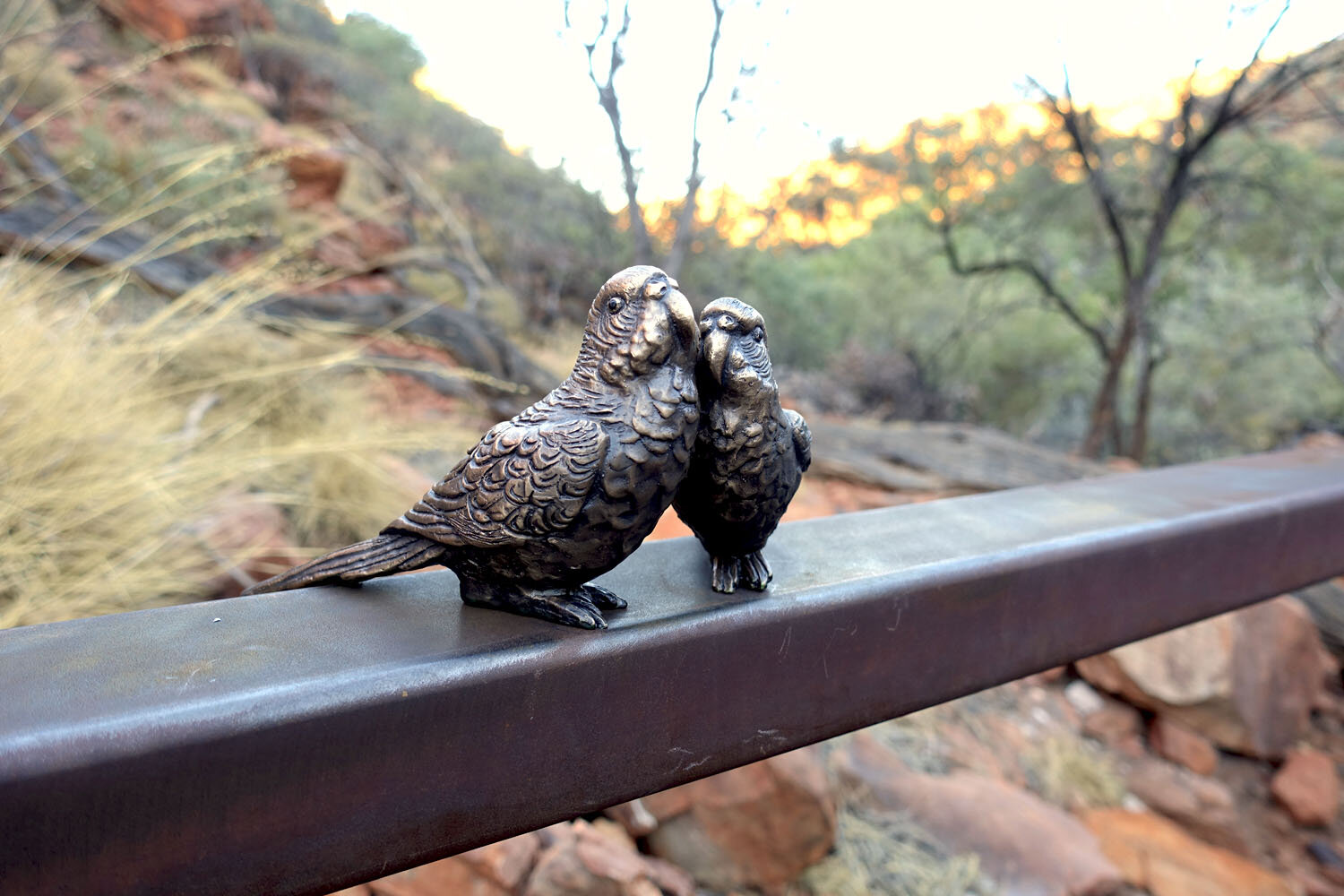 Kiilykiilykari (Budgerigar)