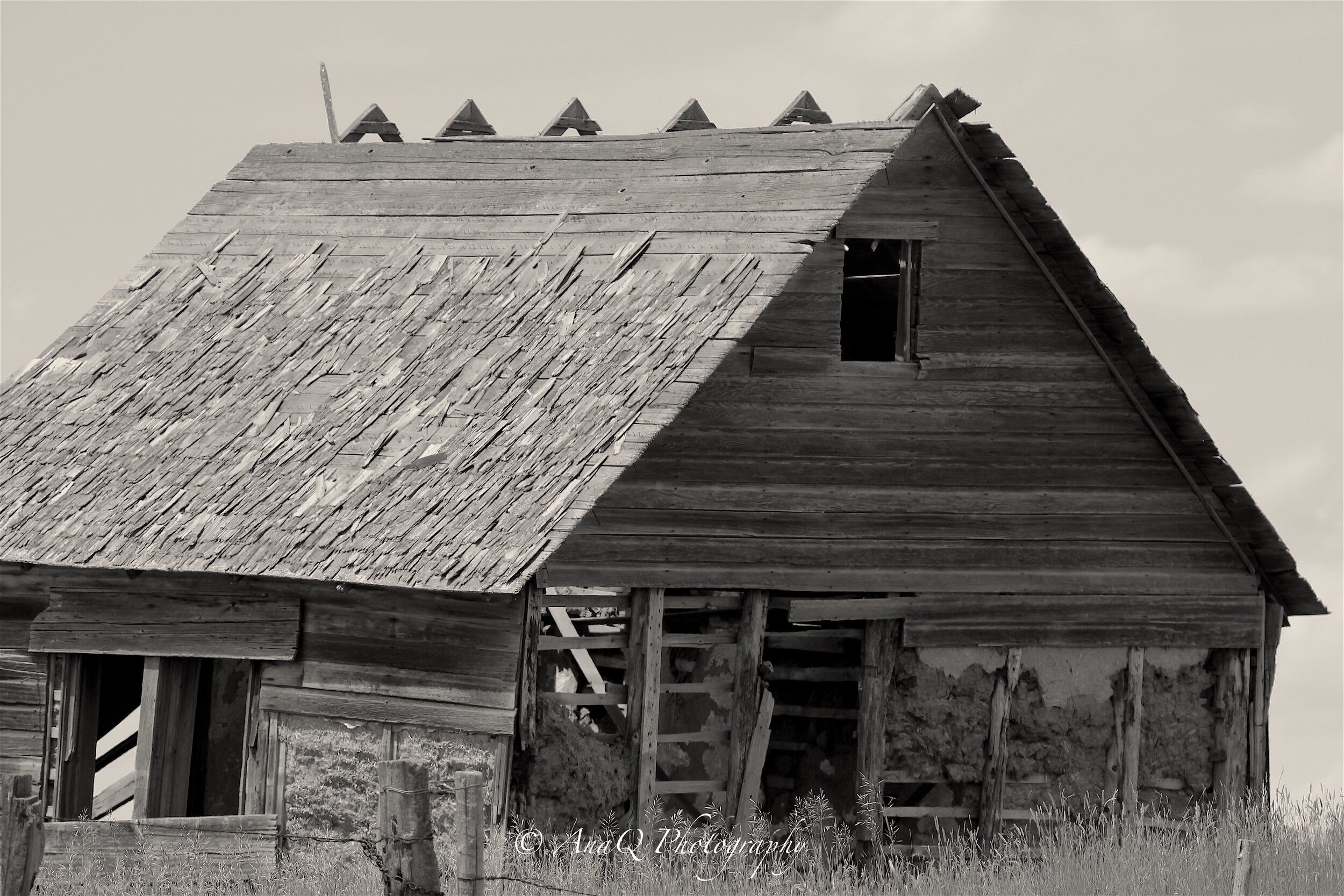 IMG_5051 copy 2.jpg