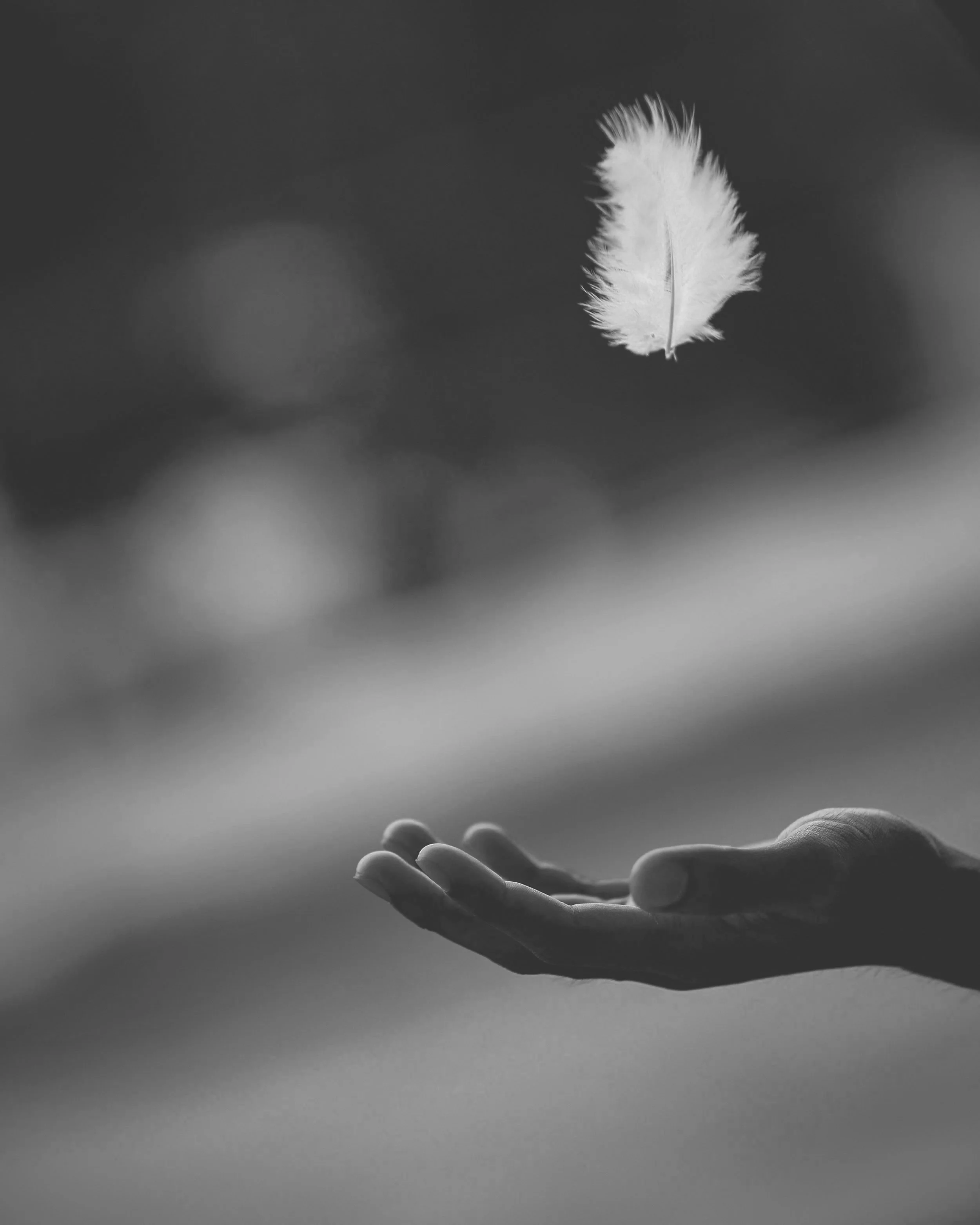 reiki+.jpg