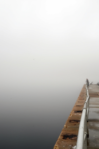 fog at marina.jpg
