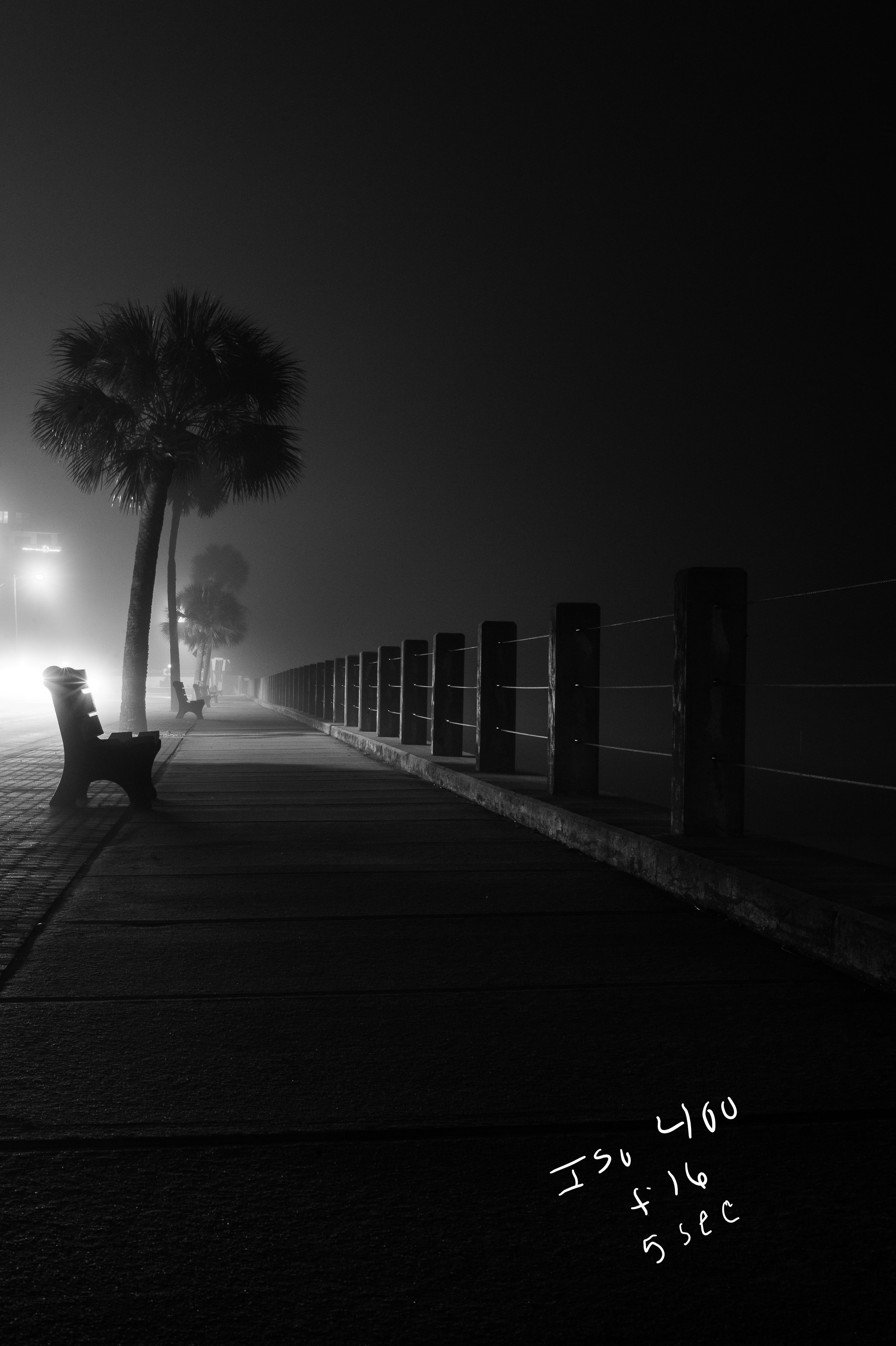 6 beach drive fog.jpg
