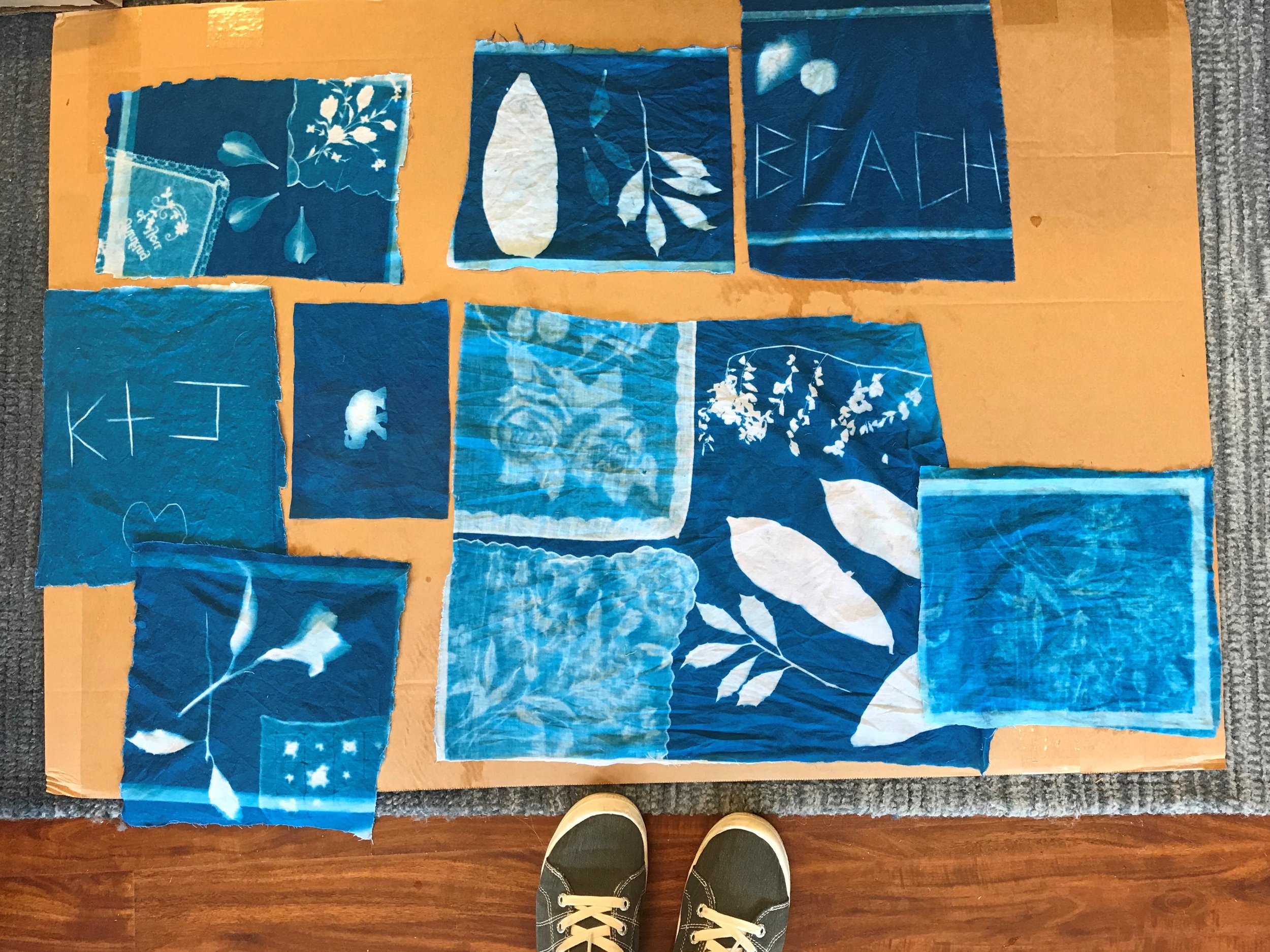 cyanotypes drying.jpg