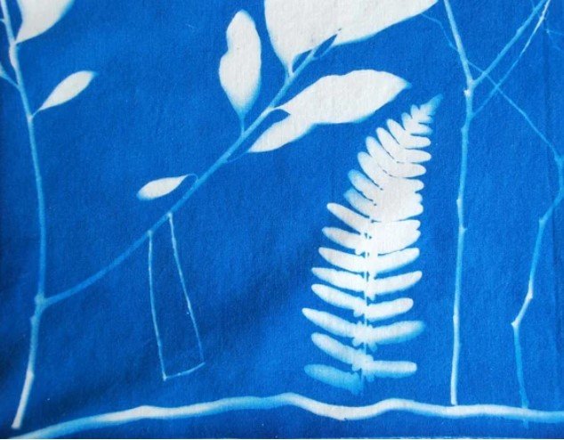 cyanotype forest.jpg