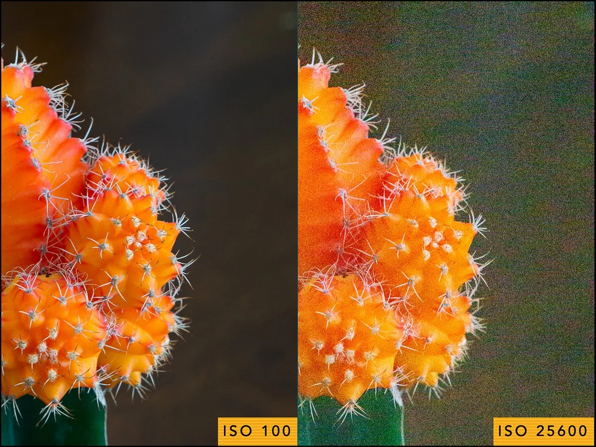 UNDERSTANDING ISO 
