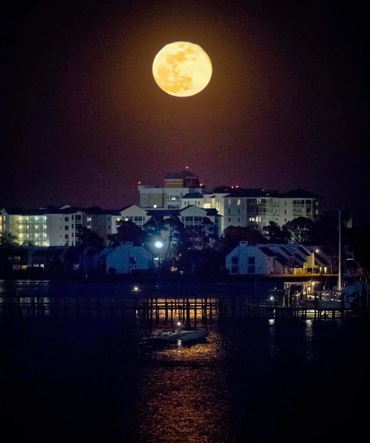 SHOOTING THE WOLF MOON ~ JAN. 3