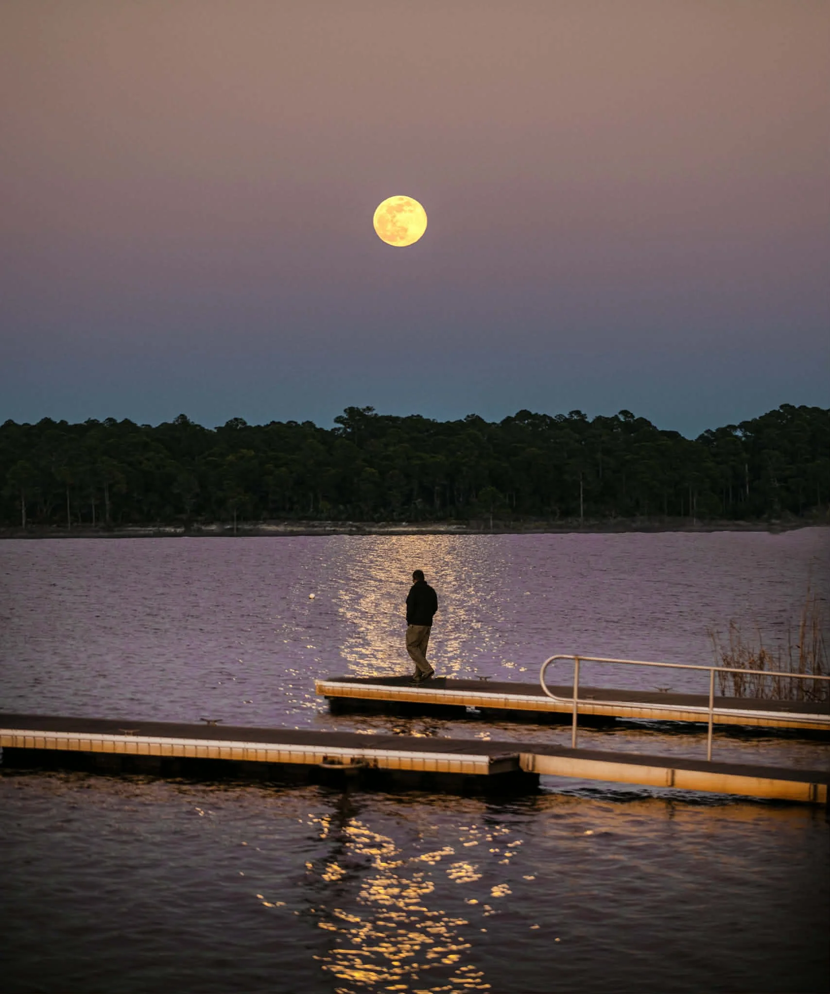 patti blake moon over dock.jpg