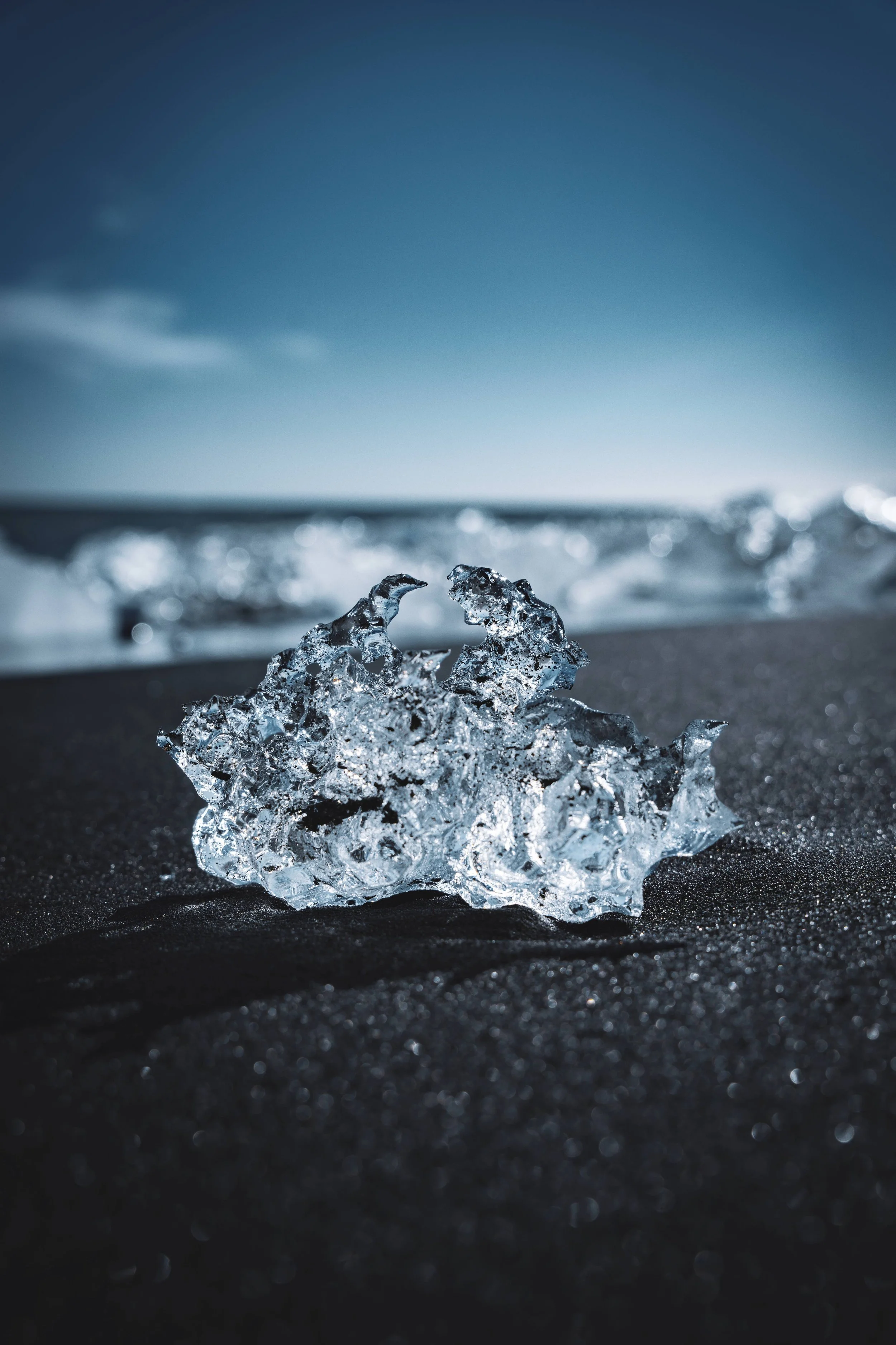 _A743738 smaller.jpg