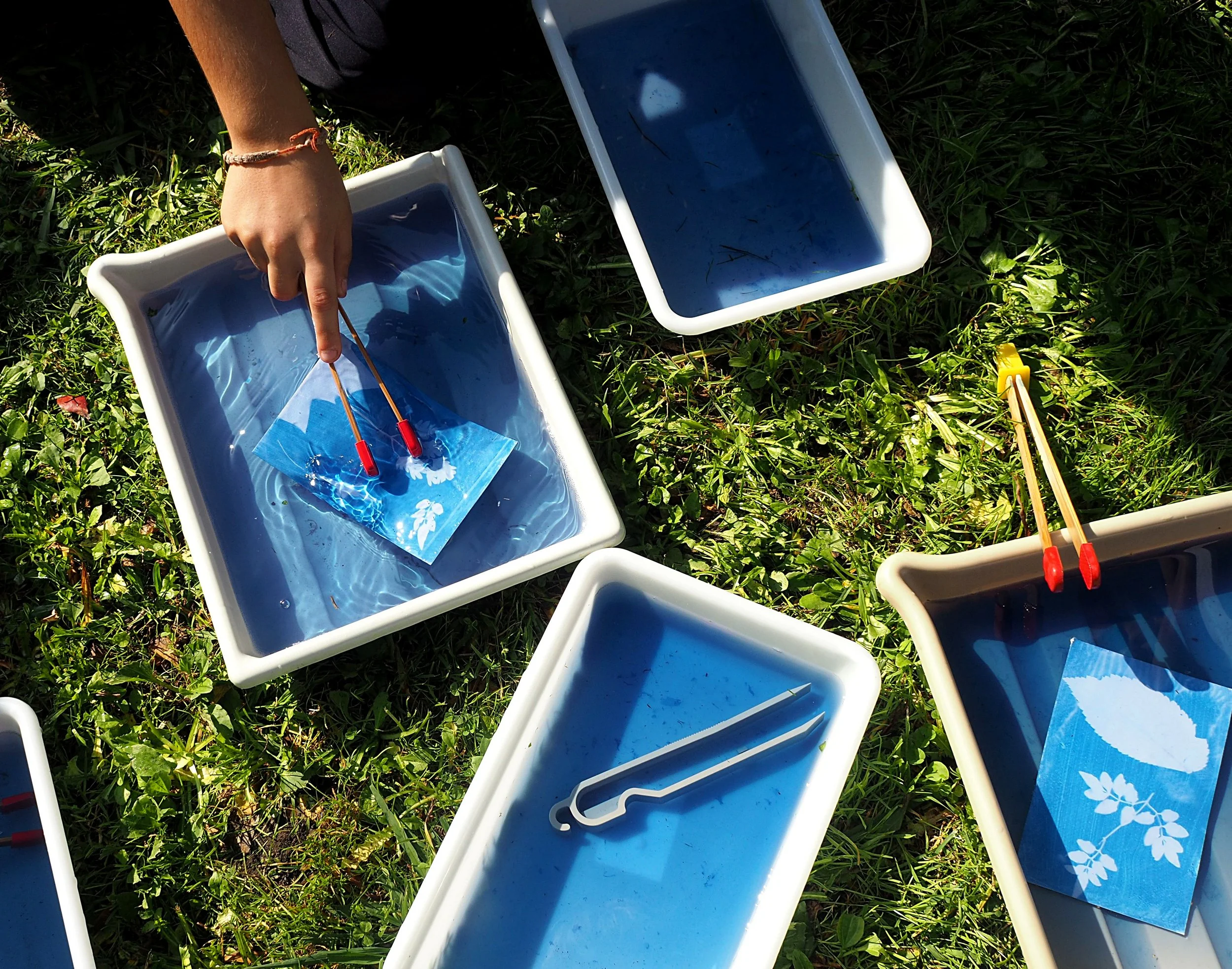 cyanotype prints developing.jpeg
