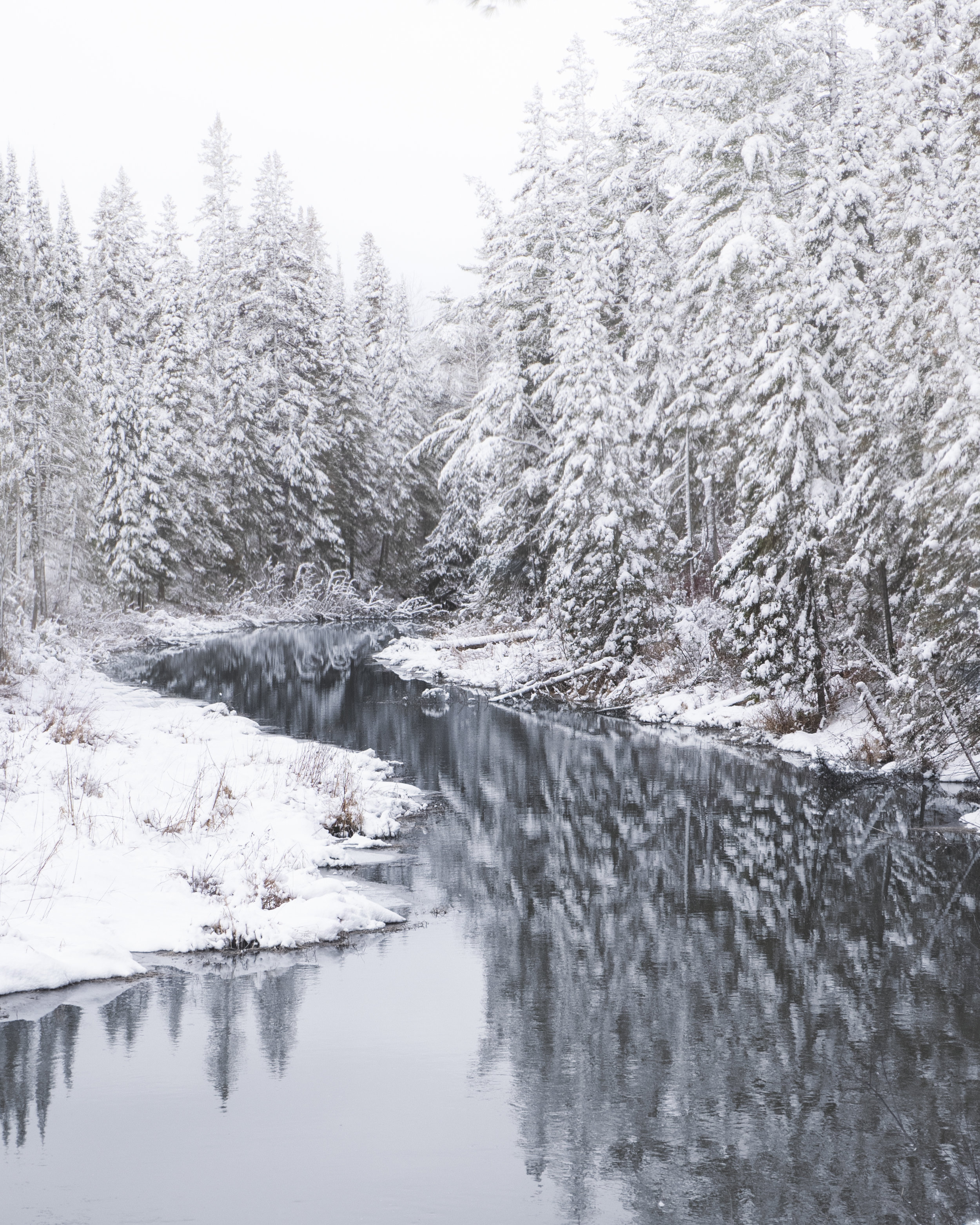 TreePhoto-Winter.jpg