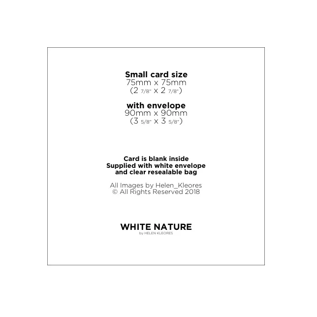 Helen_Kleores_HK_Small_Card_Sizes_ &_Dimensions.jpg