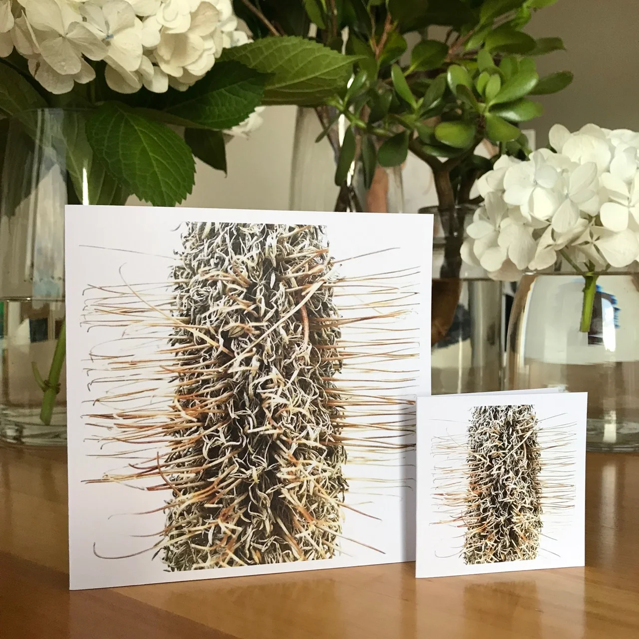 Helen_Kleores_HK_001_Large & Small_Cards_Image.jpg
