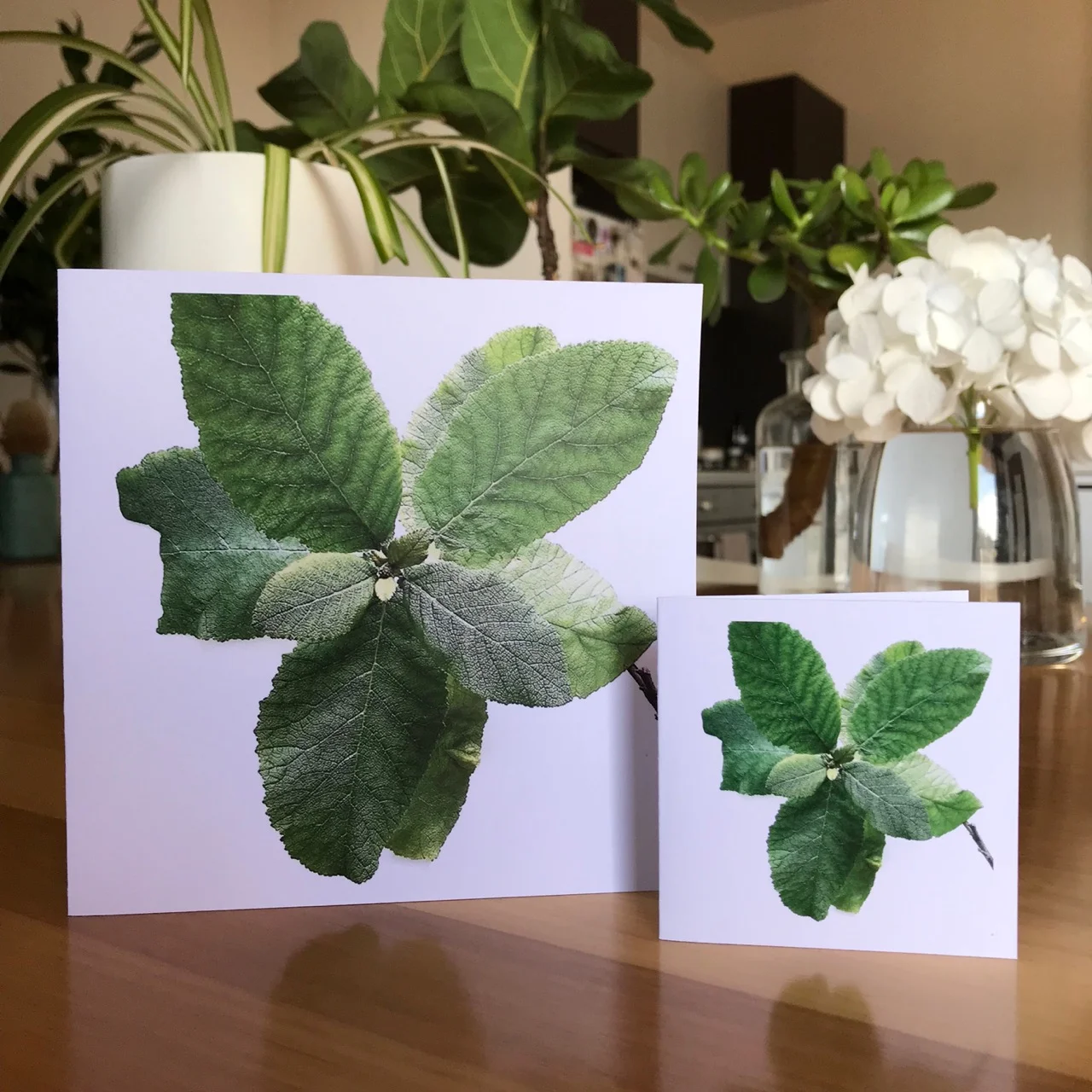 Helen_Kleores_HK_024_Large & Small_Cards_Image.jpg