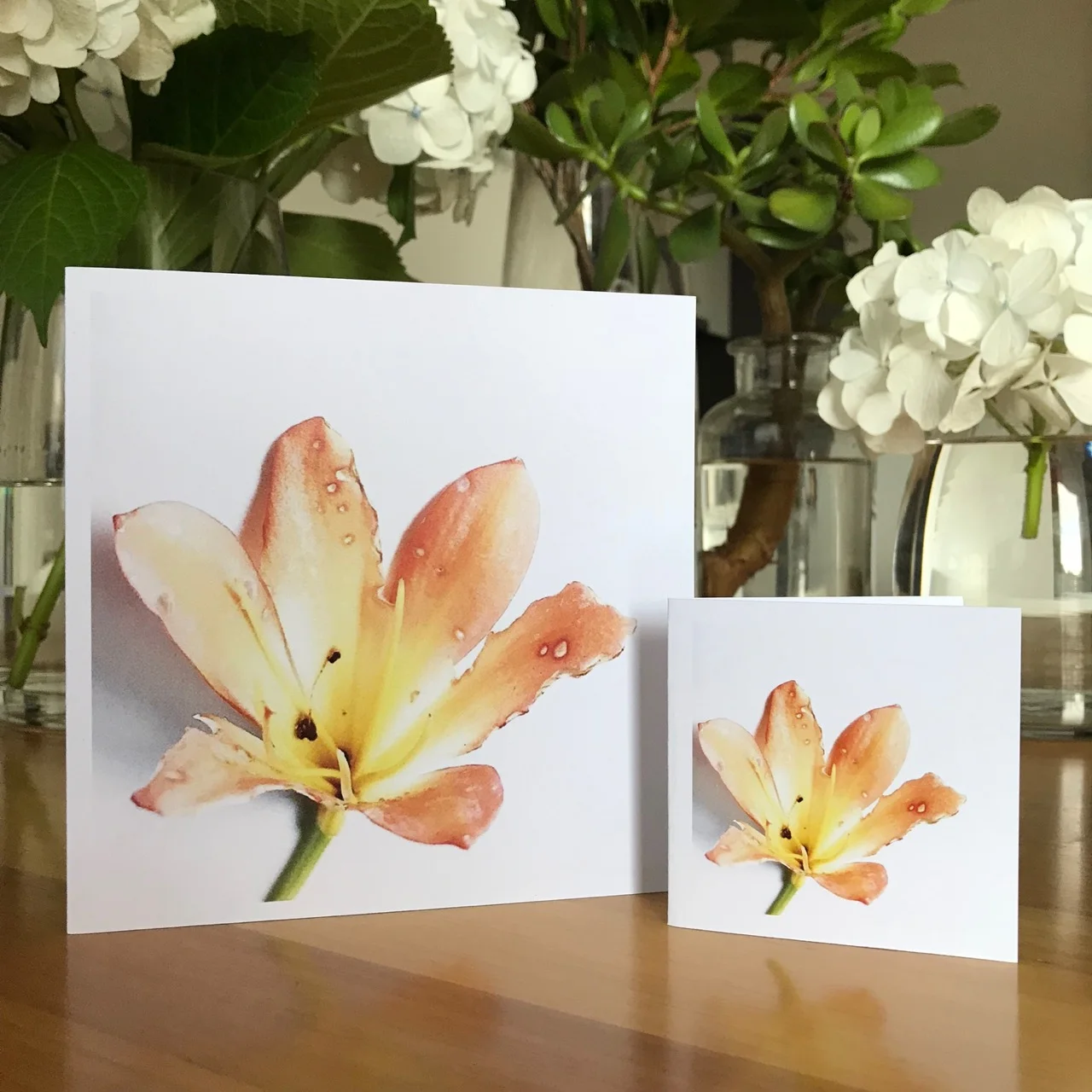 Helen_Kleores_HK_008_Large & Small_Cards_Image.jpg