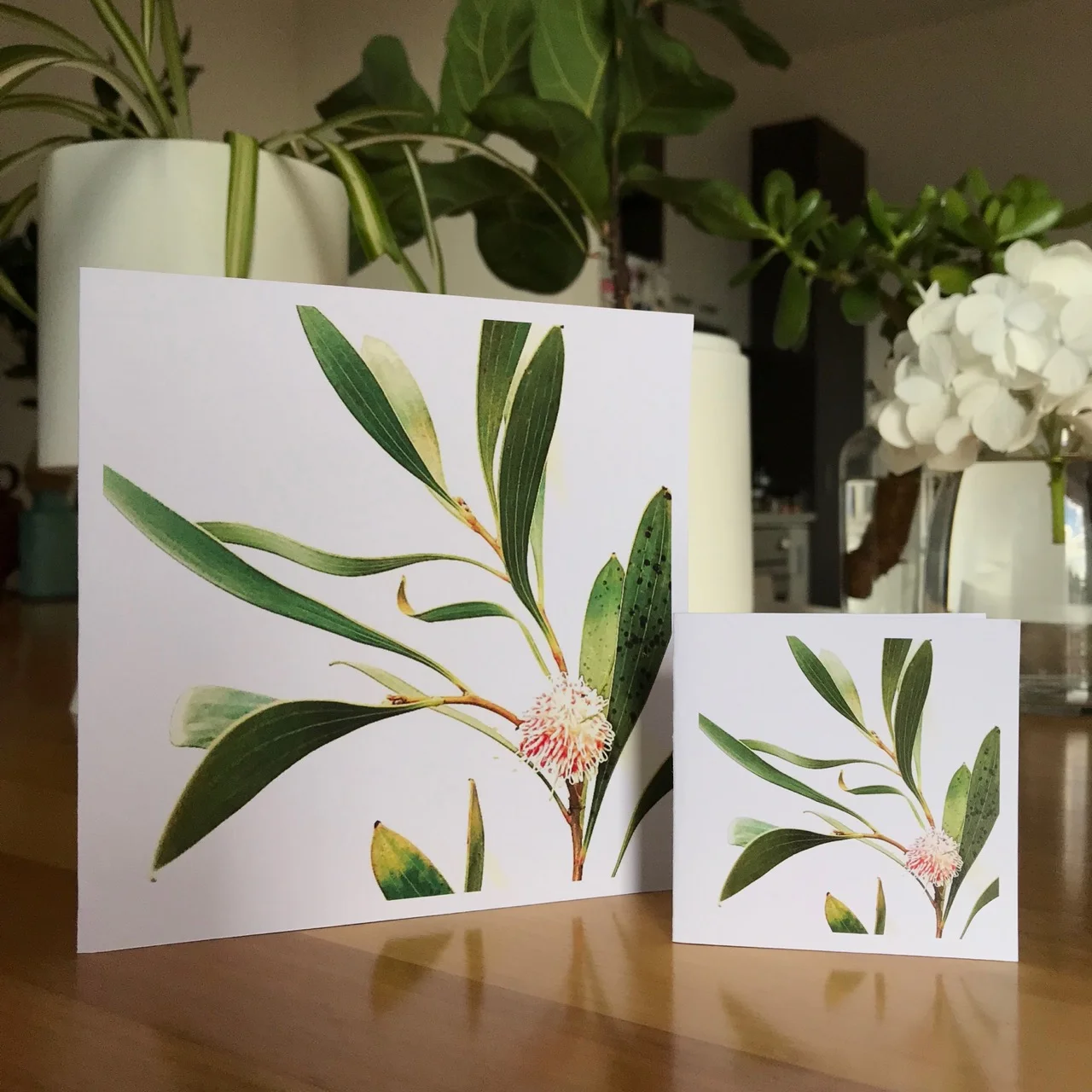 Helen_Kleores_HK_008_Large & Small_Cards_Image.jpg