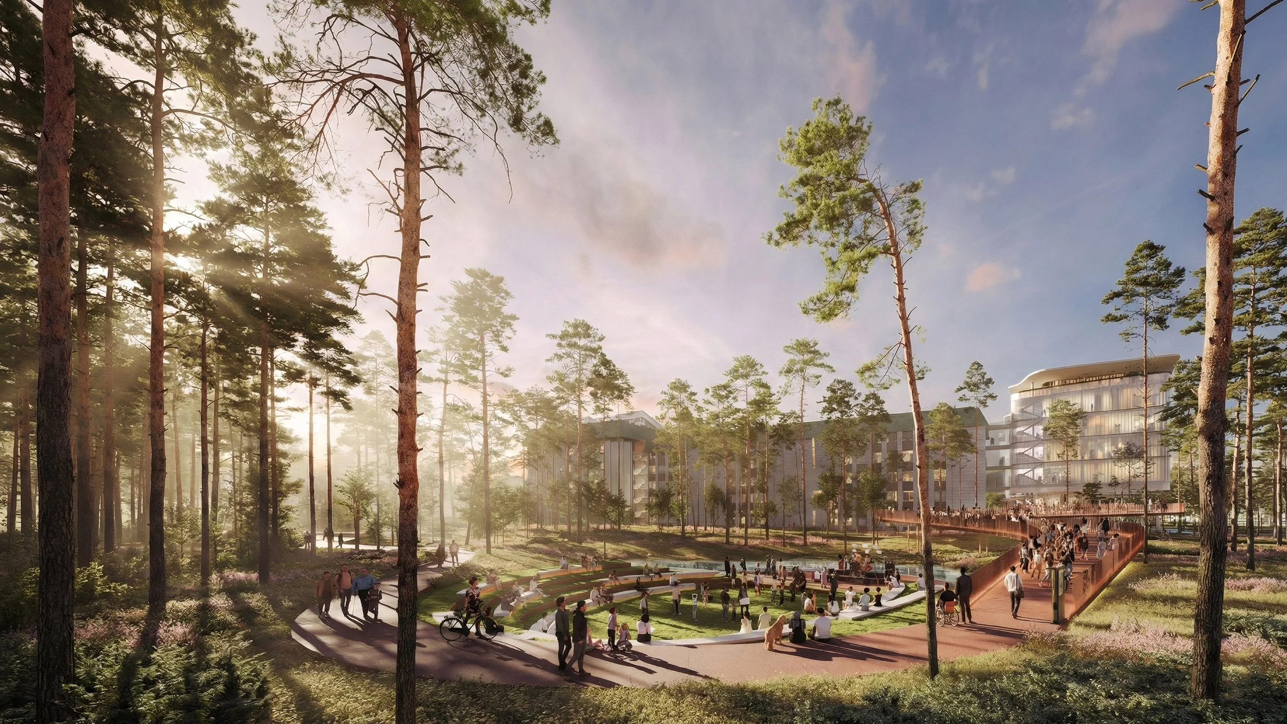 Tax State University