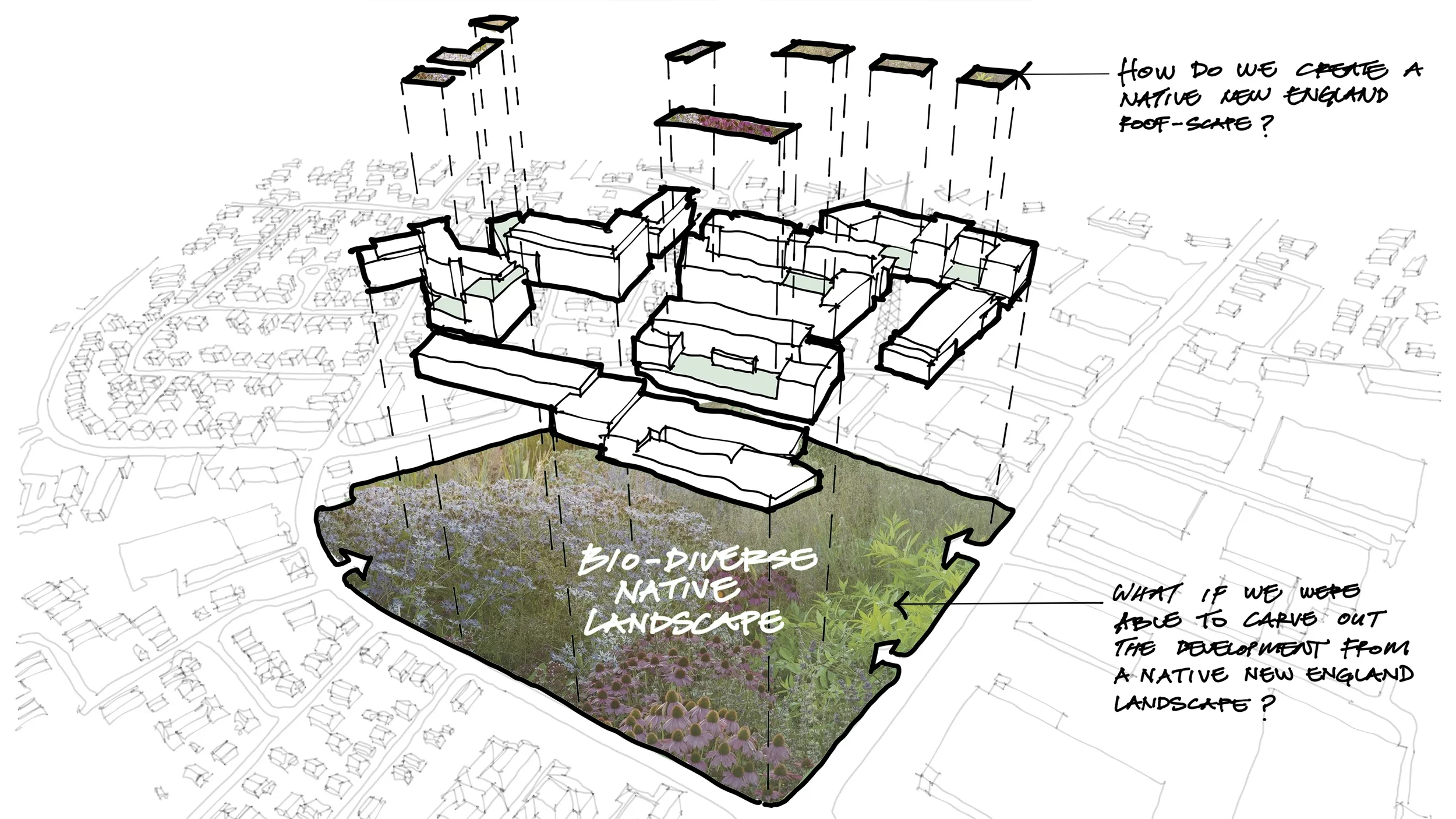 pattern-disctrict-landscape-architecture-urban-design-roof-deck-newton-boston-bridle-1.webp