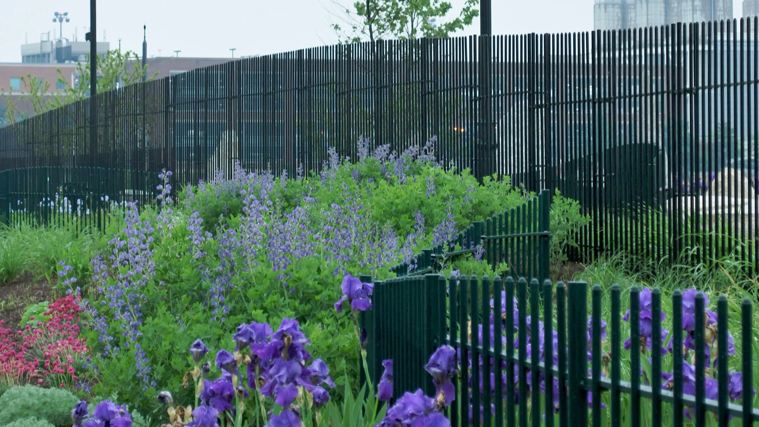 navy-fuel-pier-landscape-architecture-park-east-boston-bridle-6.webp