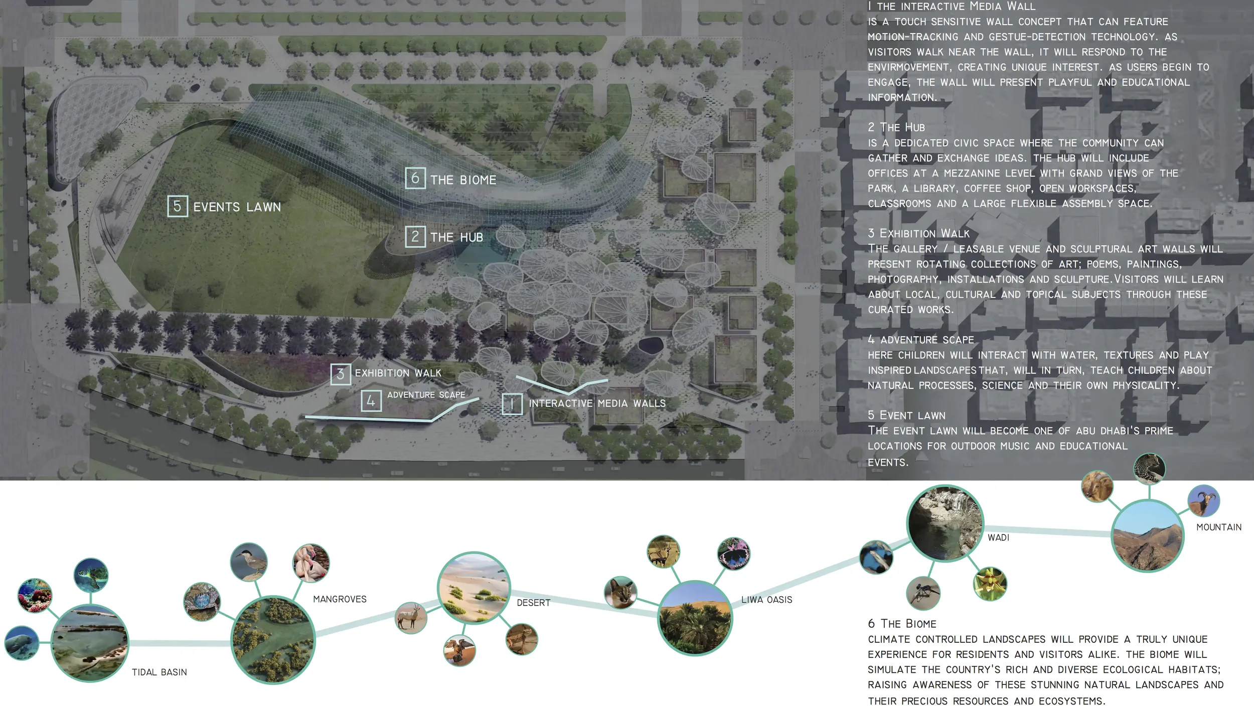 khalidiya-park-landscape-architecture-urban-design-abu-dhabi-uae-bridle-10.webp