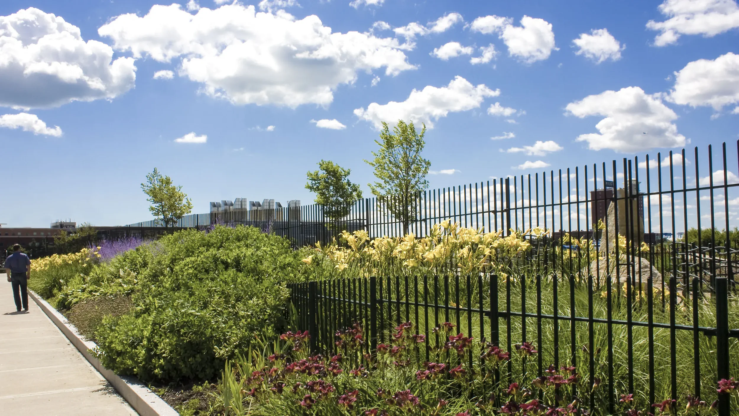 wave-landscape-architecture-sculpture-public-art-park-navy-fuel-pier-east-boston-bridle-4.webp