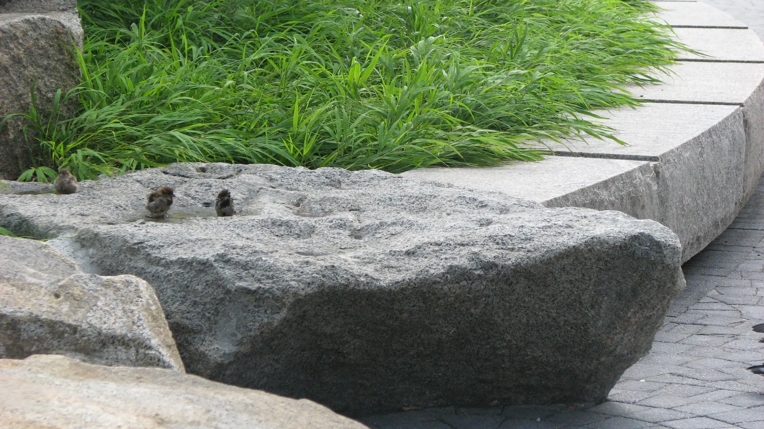 sea-wall-waterfall-water-feature-landscape-architecture-park-boston-bridle-19.webp