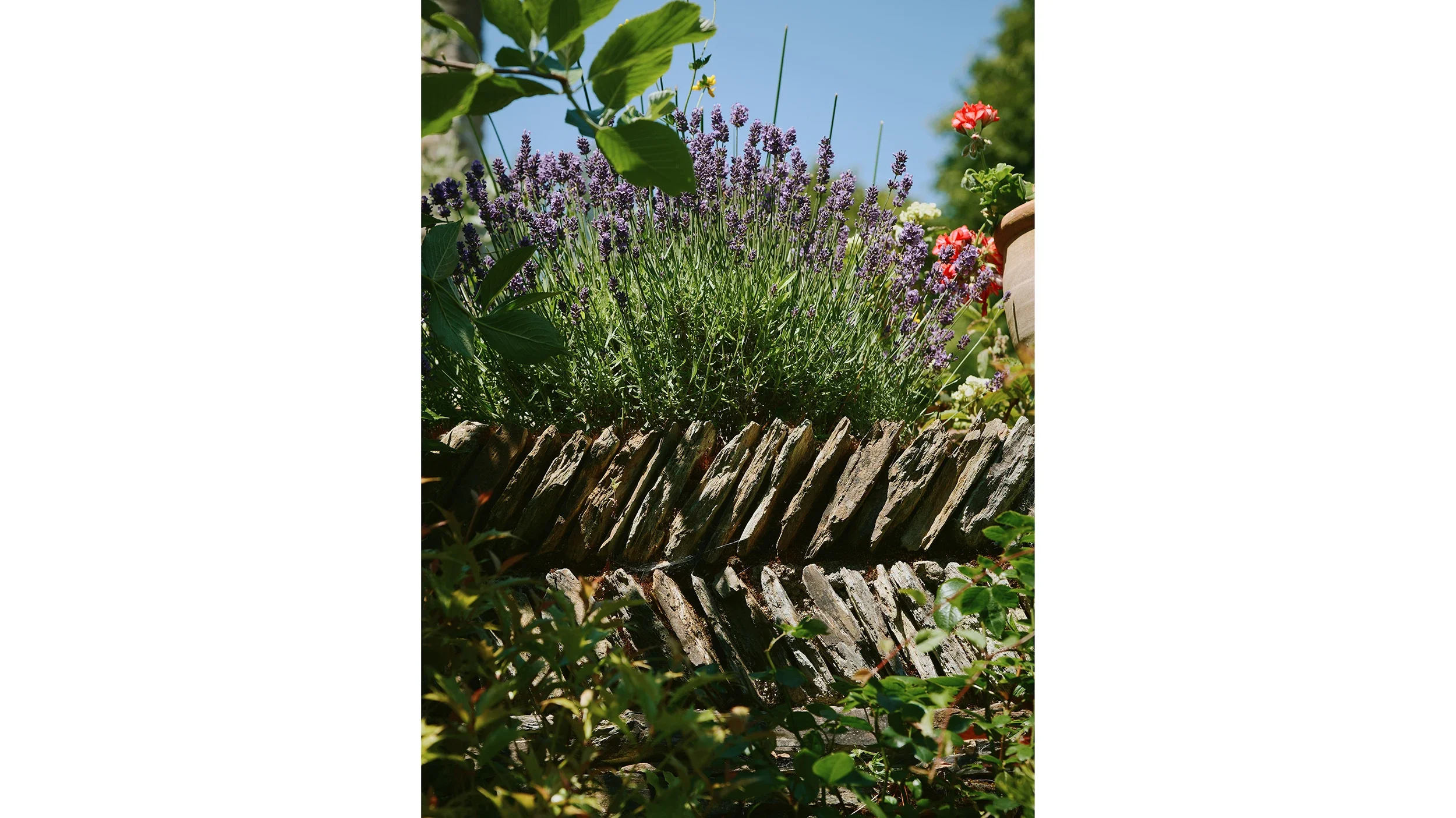 bridge-cottage-garden-house-landscape-architecture-residential-cornwall-UK-bridle-14.webp