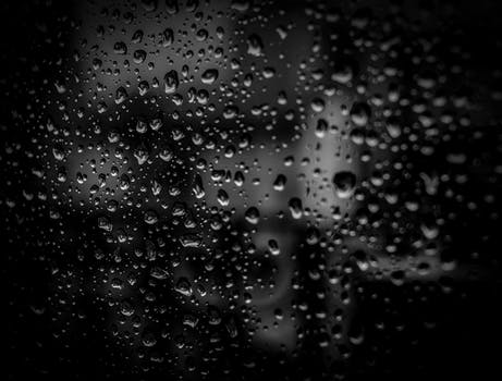 pexels-photo-396547.jpeg