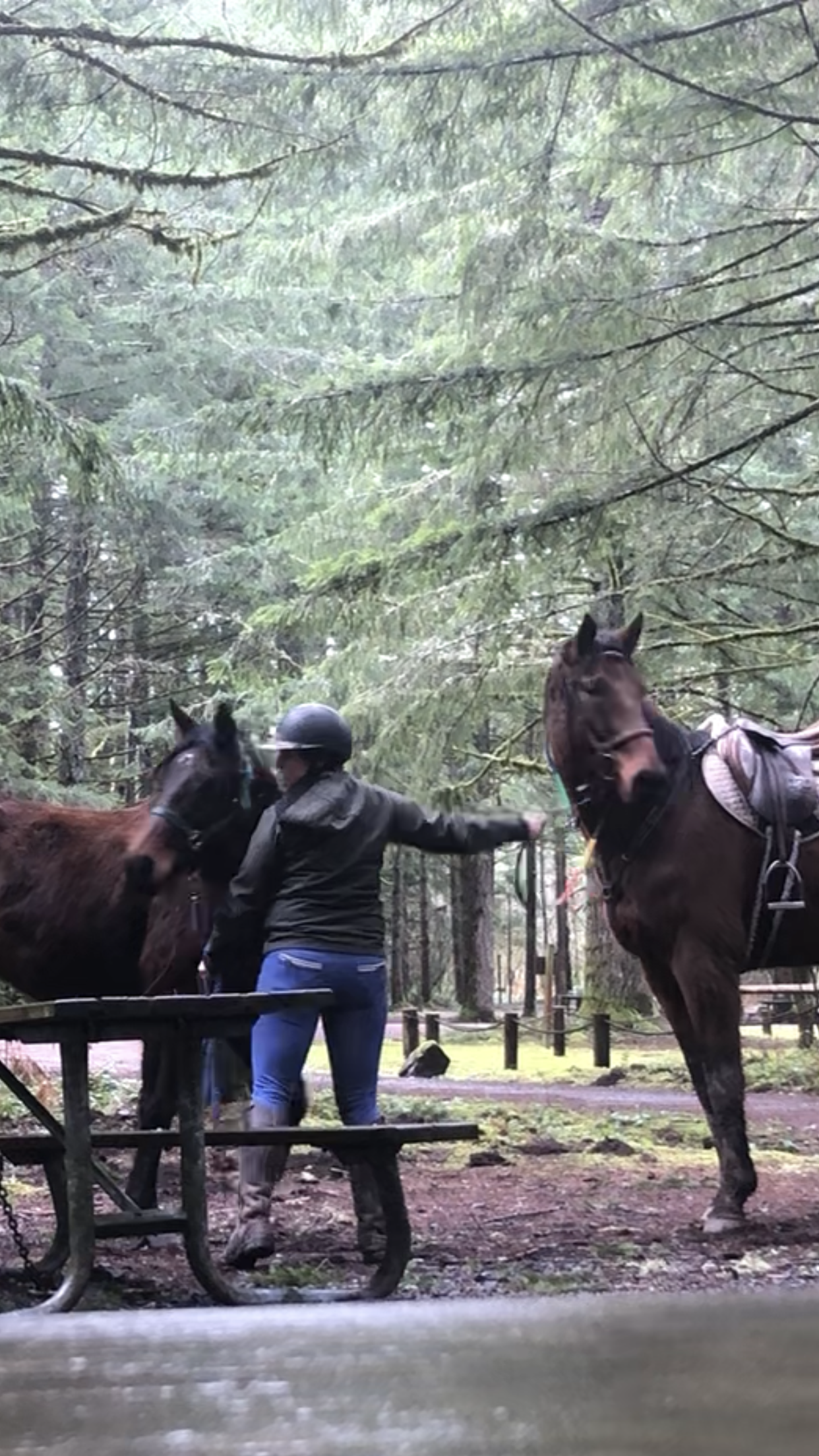 Knowing When to Just Let it Go - Lessons from my Failed Plan for a Show Prep Ride