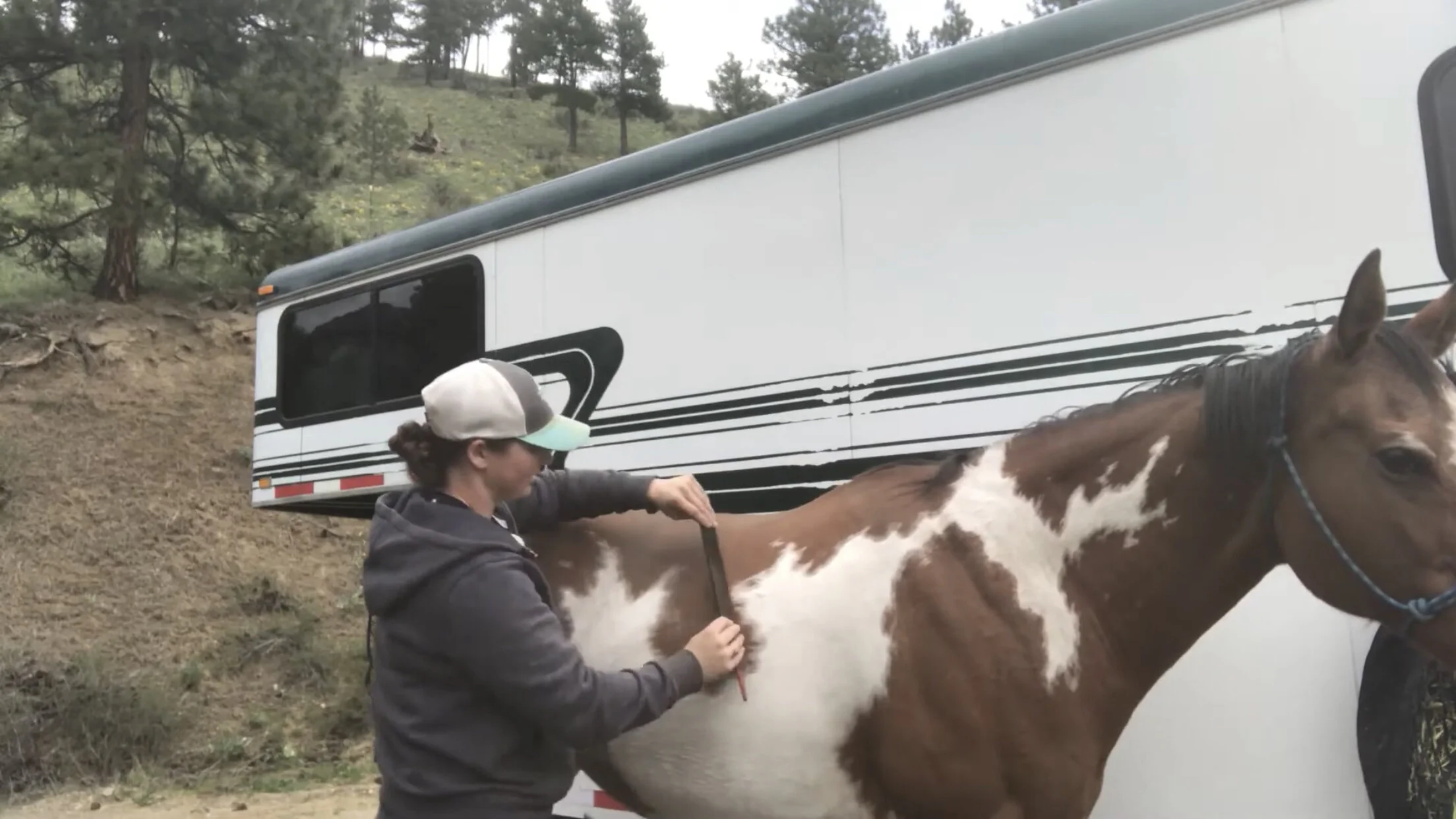 Shedding Season 2020 - Grooming Product Review