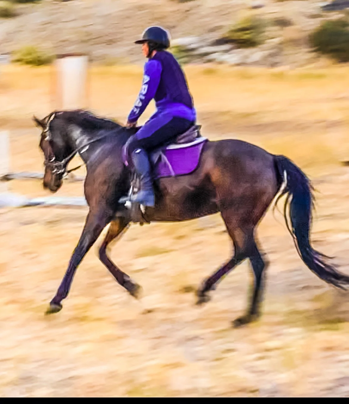 Learning How to Canter - Part 1 First Steps