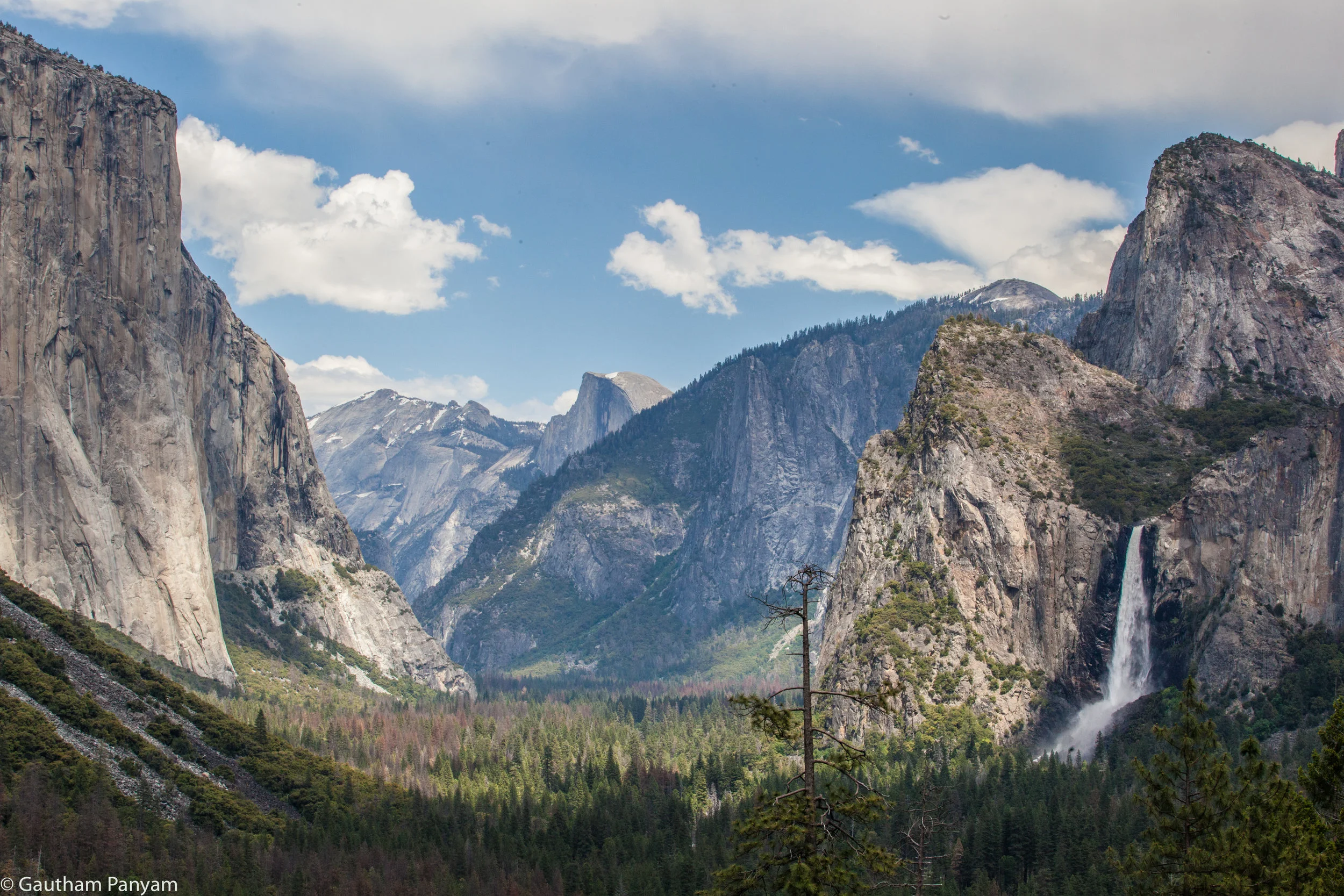 IMG_3494-HDR.jpg