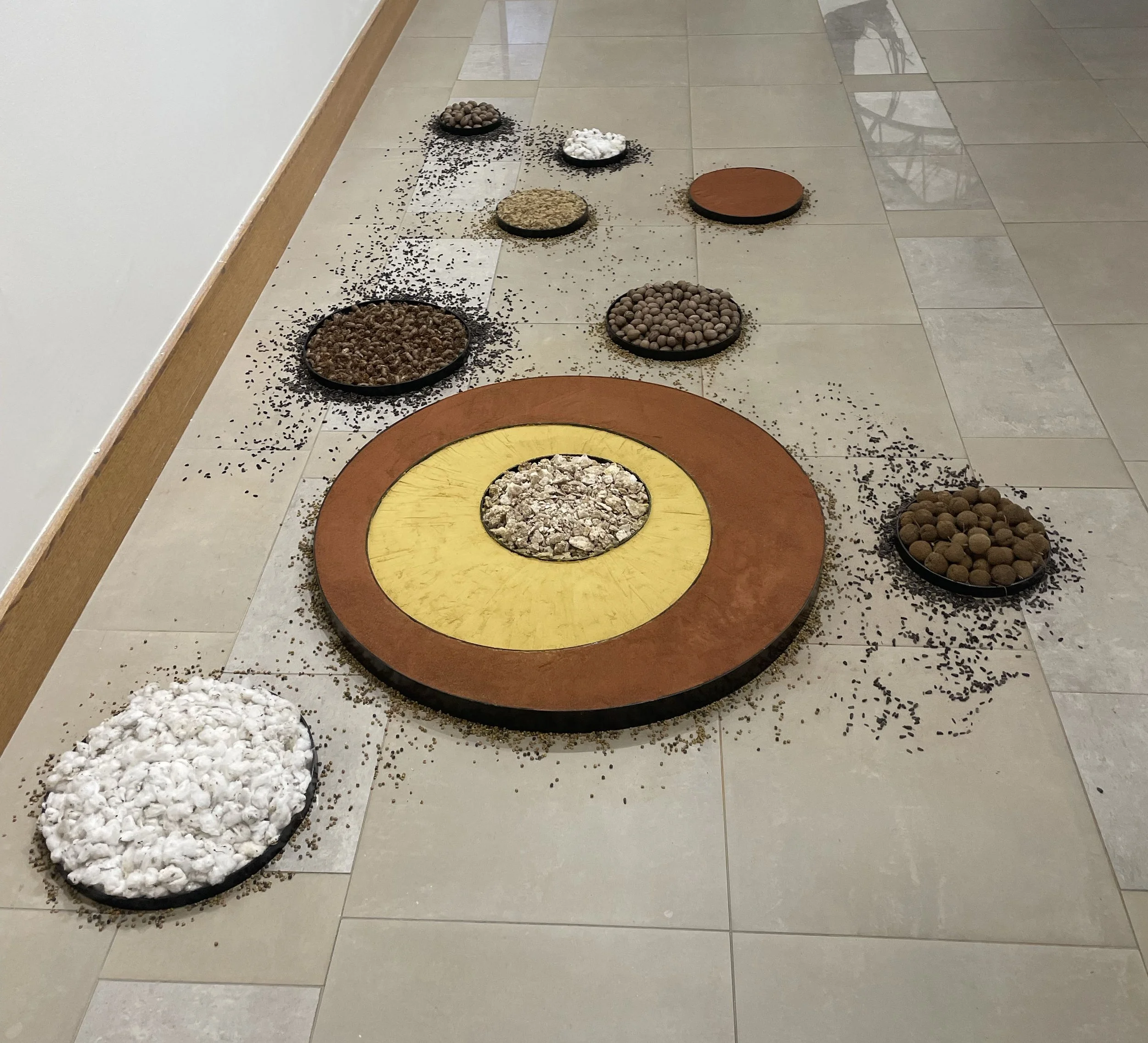 Collections- Pogue Gallery install, 2025.
