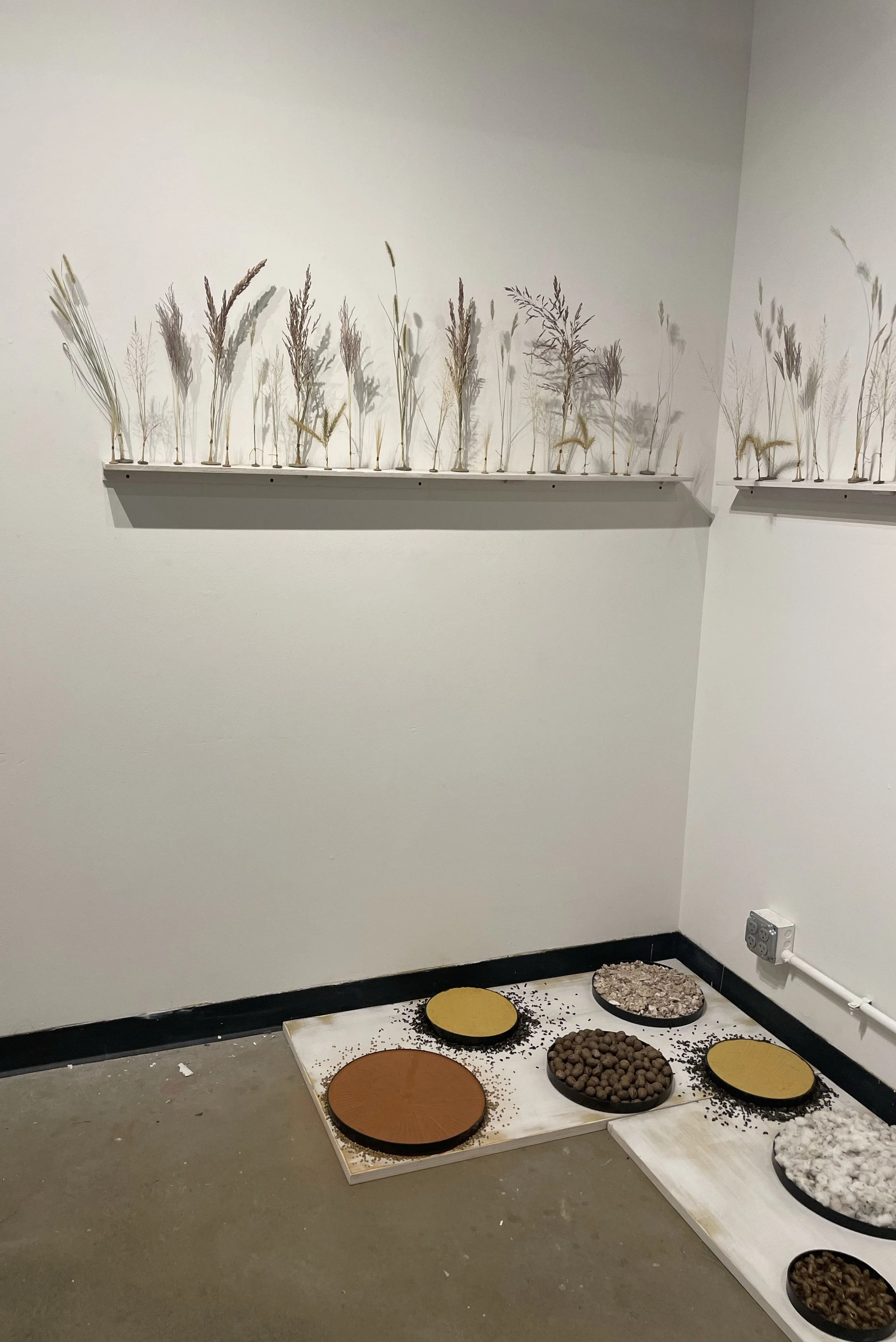 Installation View- Spotlight Gallery. University of Oklahoma, Norman, OK