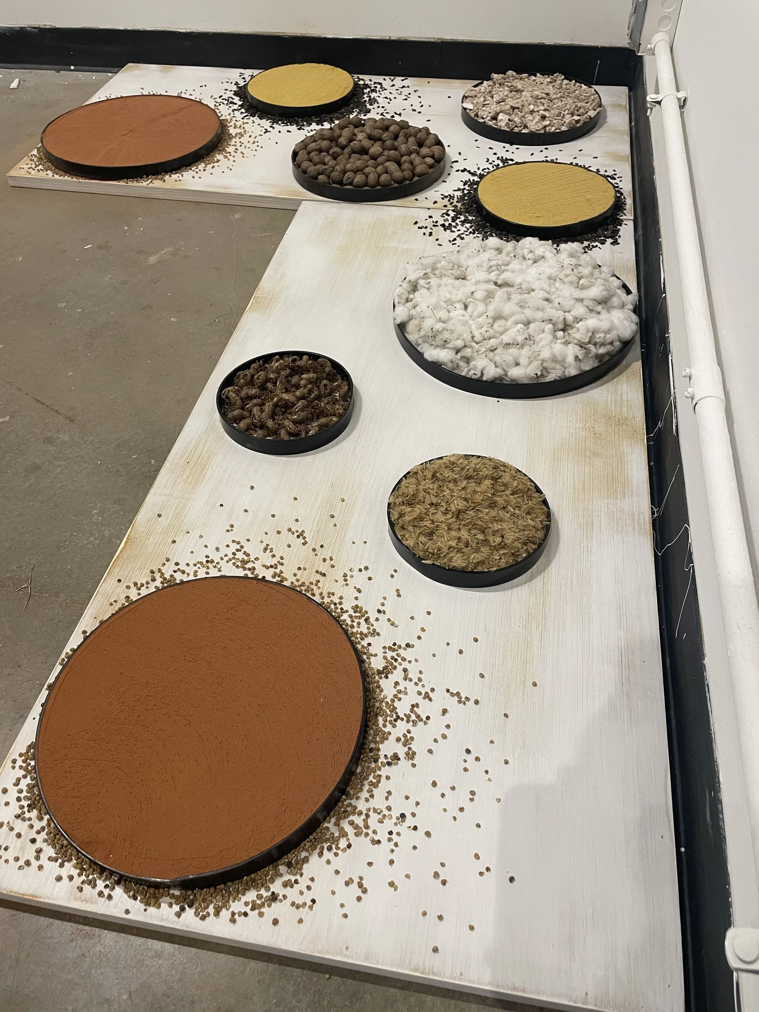 Collections- from the Spotlight Gallery, Norman OK, 2024.