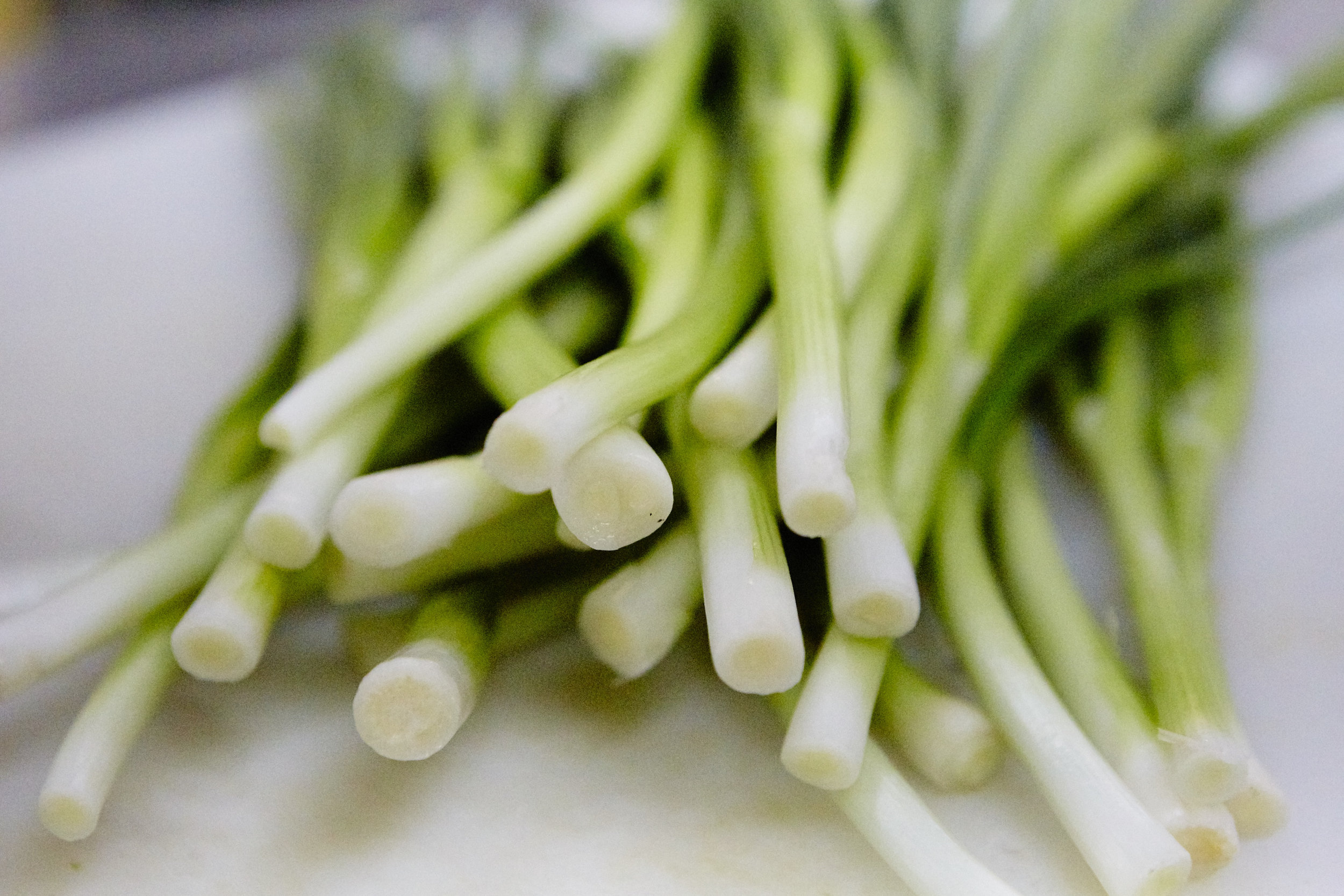 Horseradish Kitchen + Market Princeton, WI