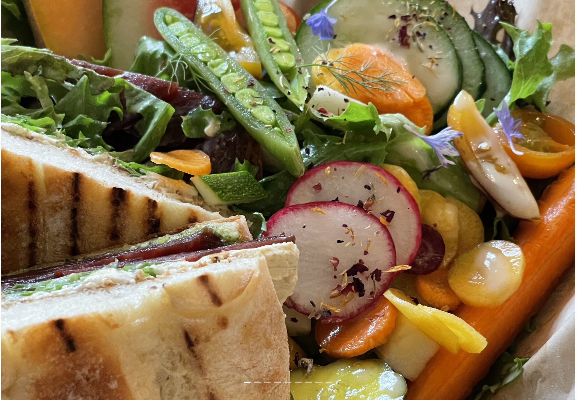 Screenshot 2025-03-25 at 12.14.11 PM.png