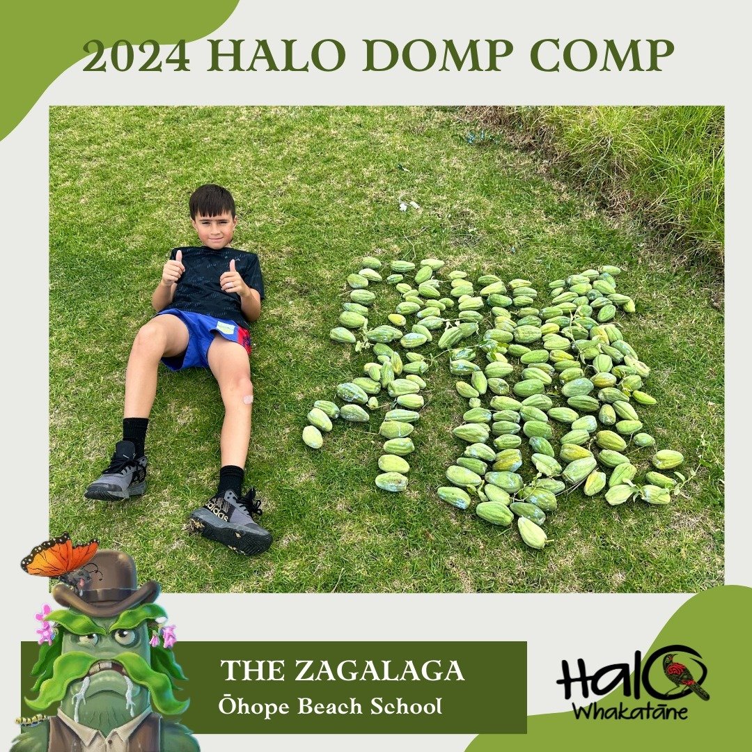 Check out these HALO Pest Detectives!! 🕵🏻

Our 2nd Annual DOMP Comp is in full swing, with tamariki putting in the hard yards to tackle this pesky plant in our community. 

📸 TEAM PHOTOS:
Just a reminder to all teams to take photos like these and 