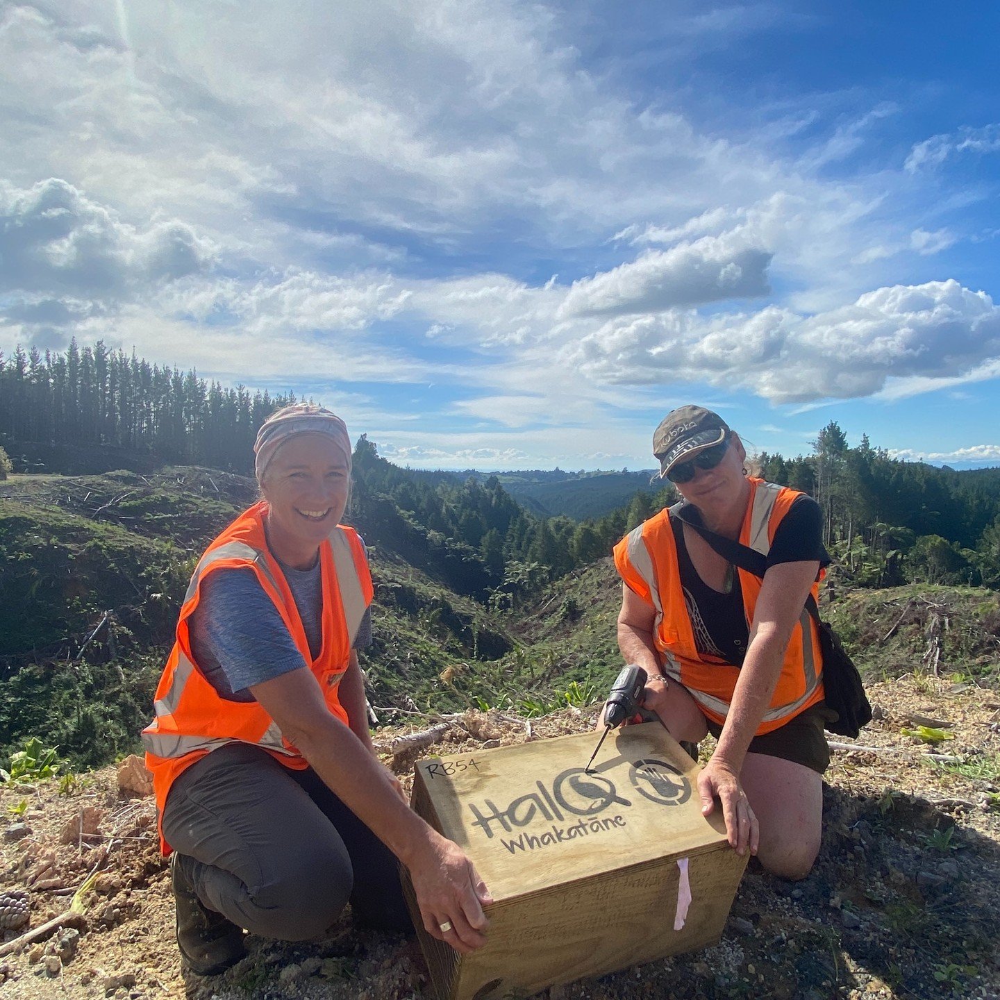 Last week, we deployed 80 DOC250 traps along Razorback Ridge ⛰️

🐀 These particular traps target ferrets, stoats, rats and hedgehogs. The aim is to create a safer habitat for our native species, in particular our tāōnga, the Kiwi (their presence evi