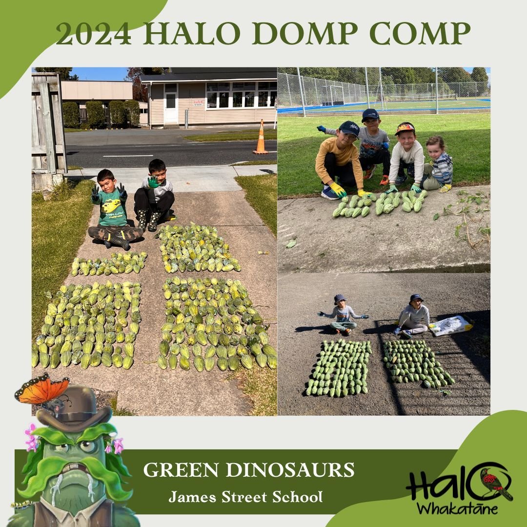 DOMP Comp Dump! 📸

Check out these HALO Pest Detectives and their Moth Plant hauls! 🕵🏻&zwj;♀️

Overall, we&rsquo;ve got 41 teams competing from local schools. Together they have gathered over 11,000 moth plant pods! And these are just the numbers 
