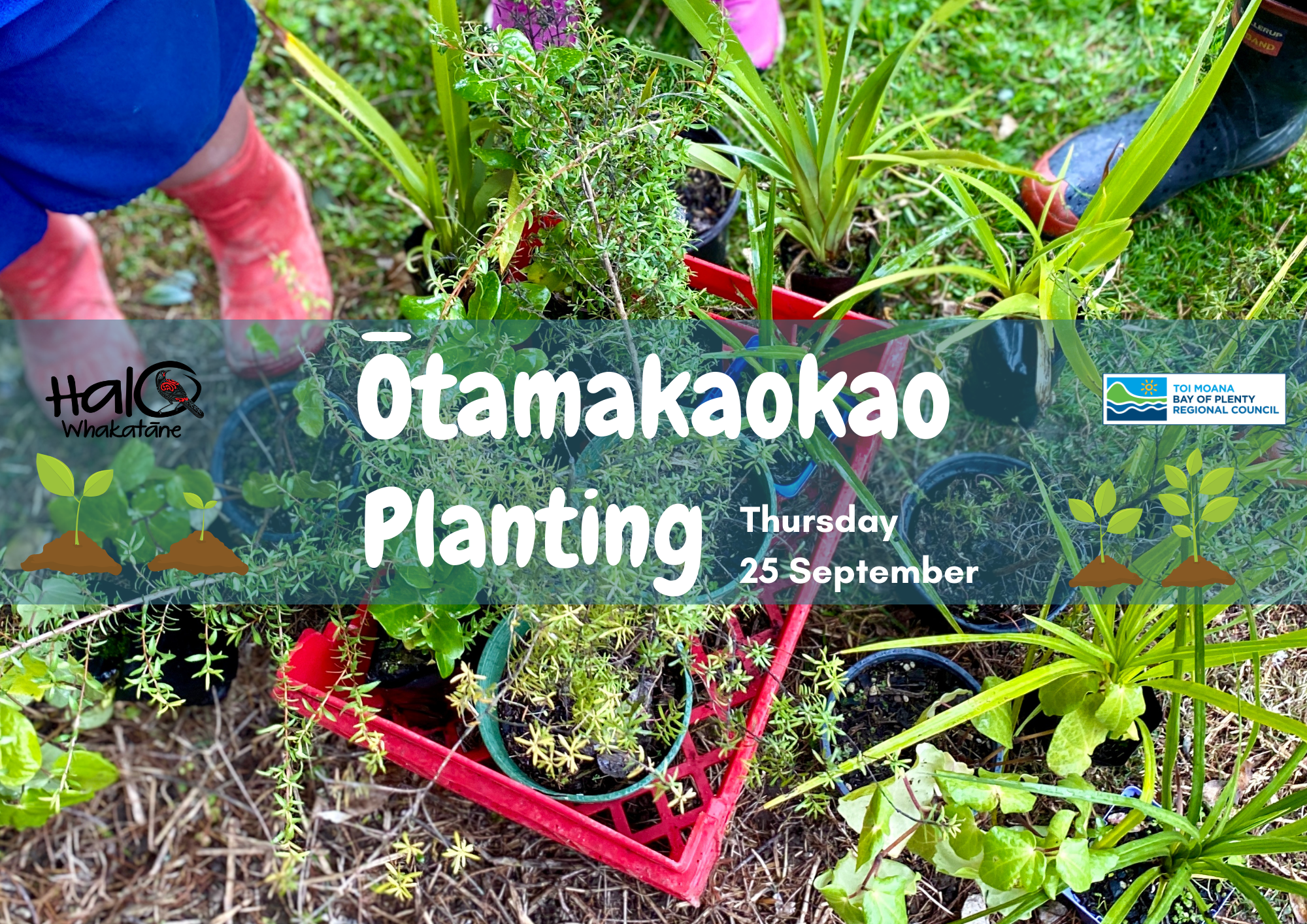 Ōtamakaokao Planting with BOPRC Rivers and Drainage