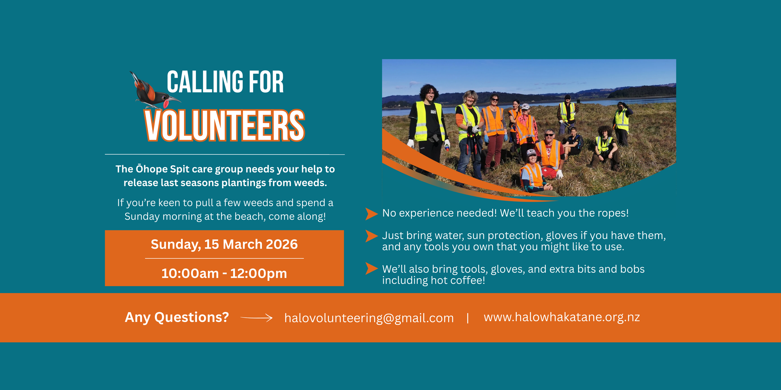 Ōhope Spit Working Bee - Plant Releasing