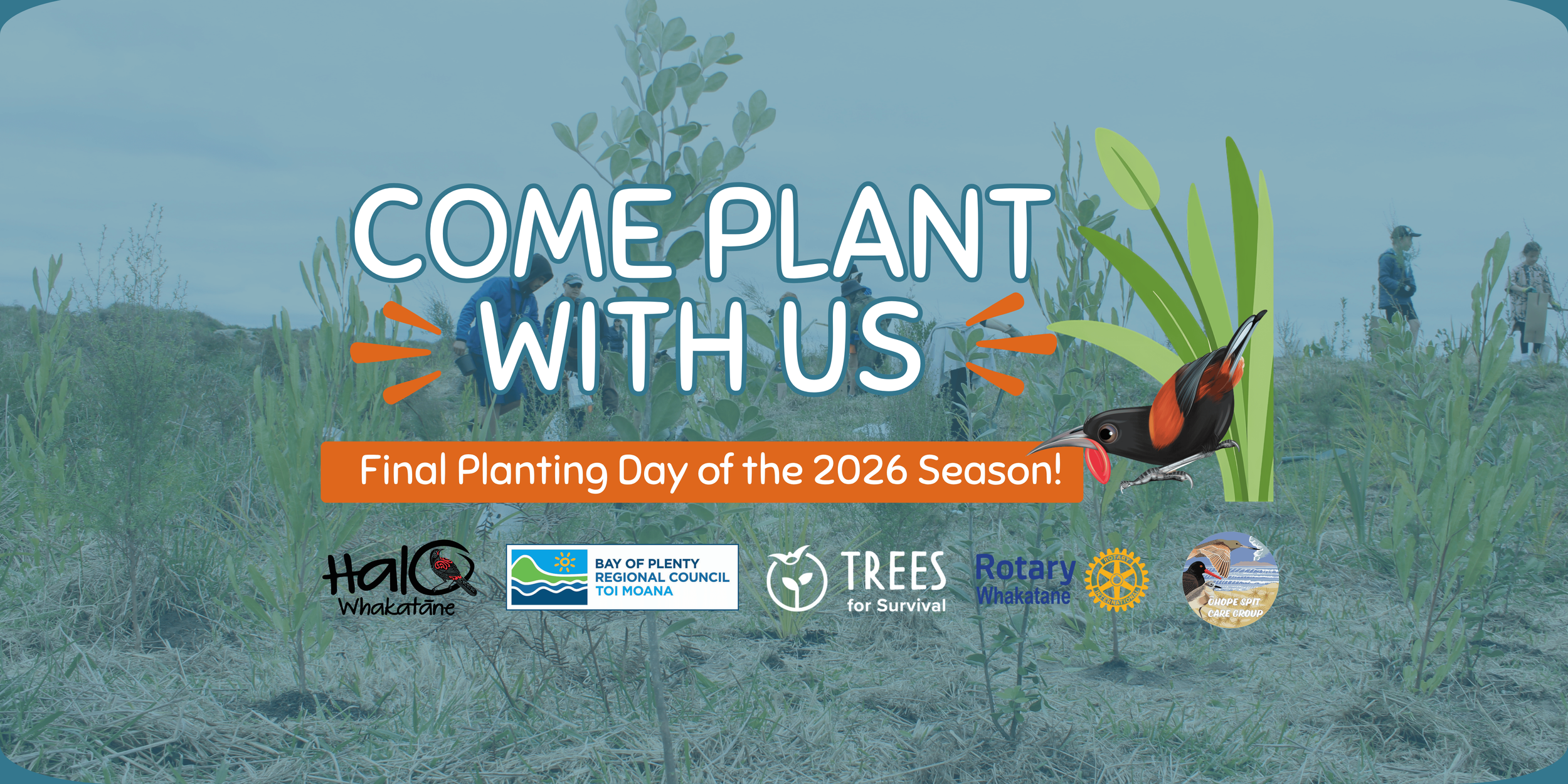 Ōhope Spit Planting Day - Final for 2026! 