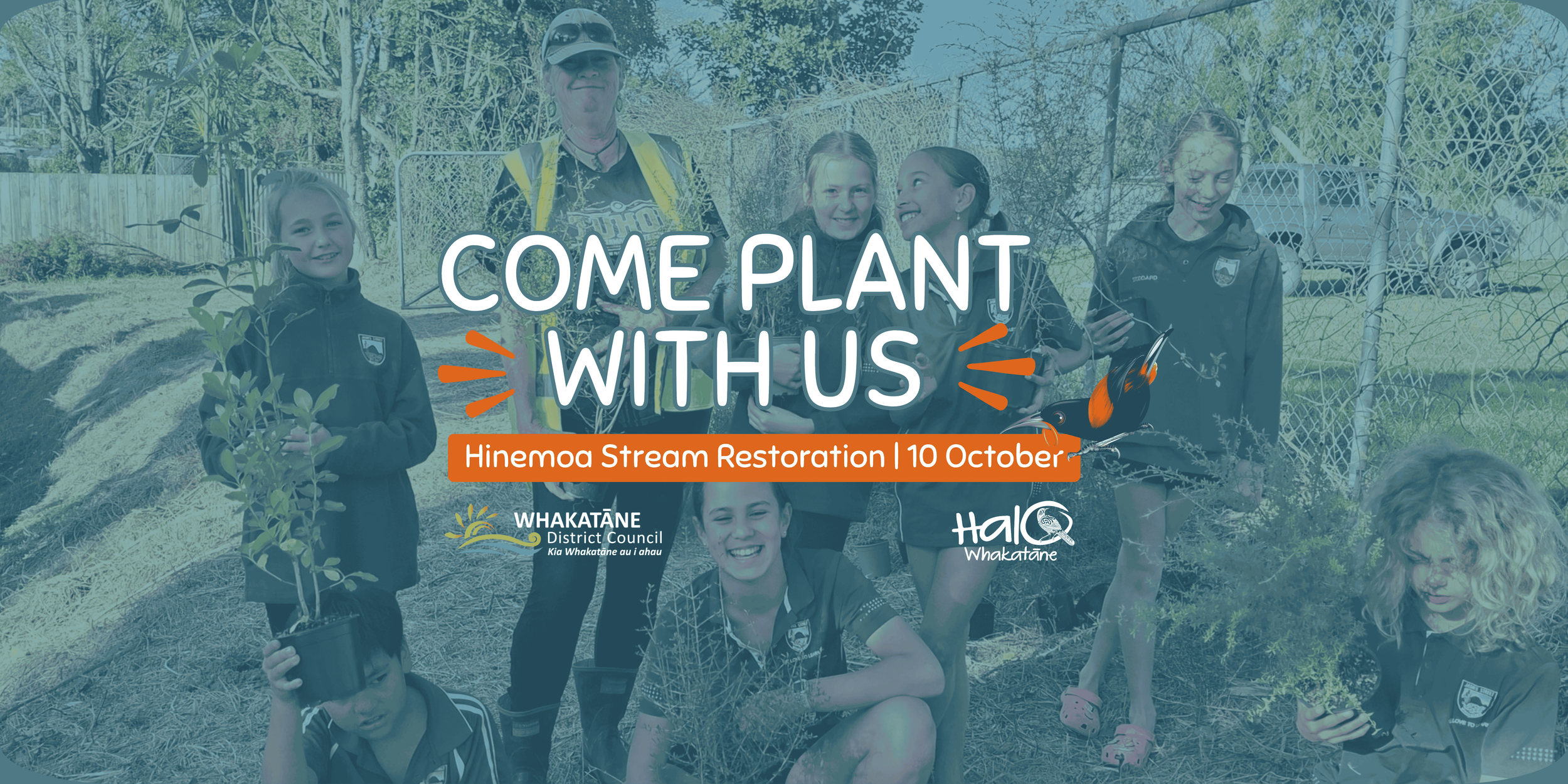 Hinemoa Planting Day