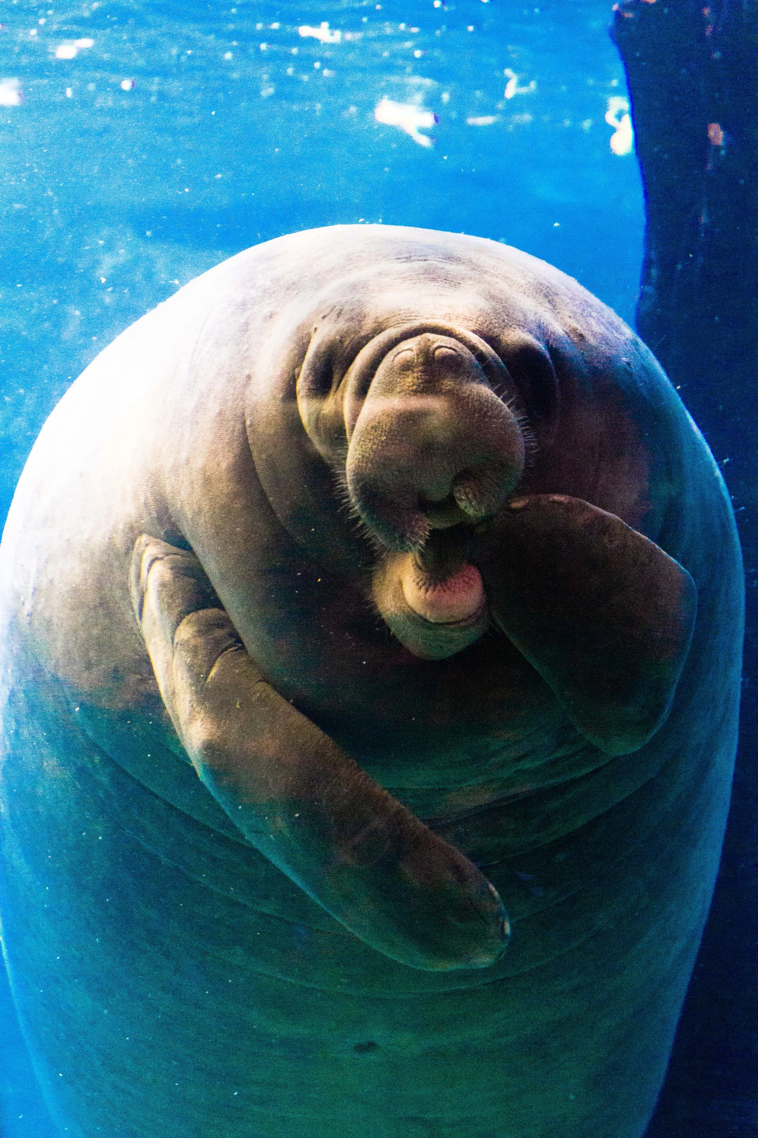  Dallas World Aquarium, August 31, 2017 