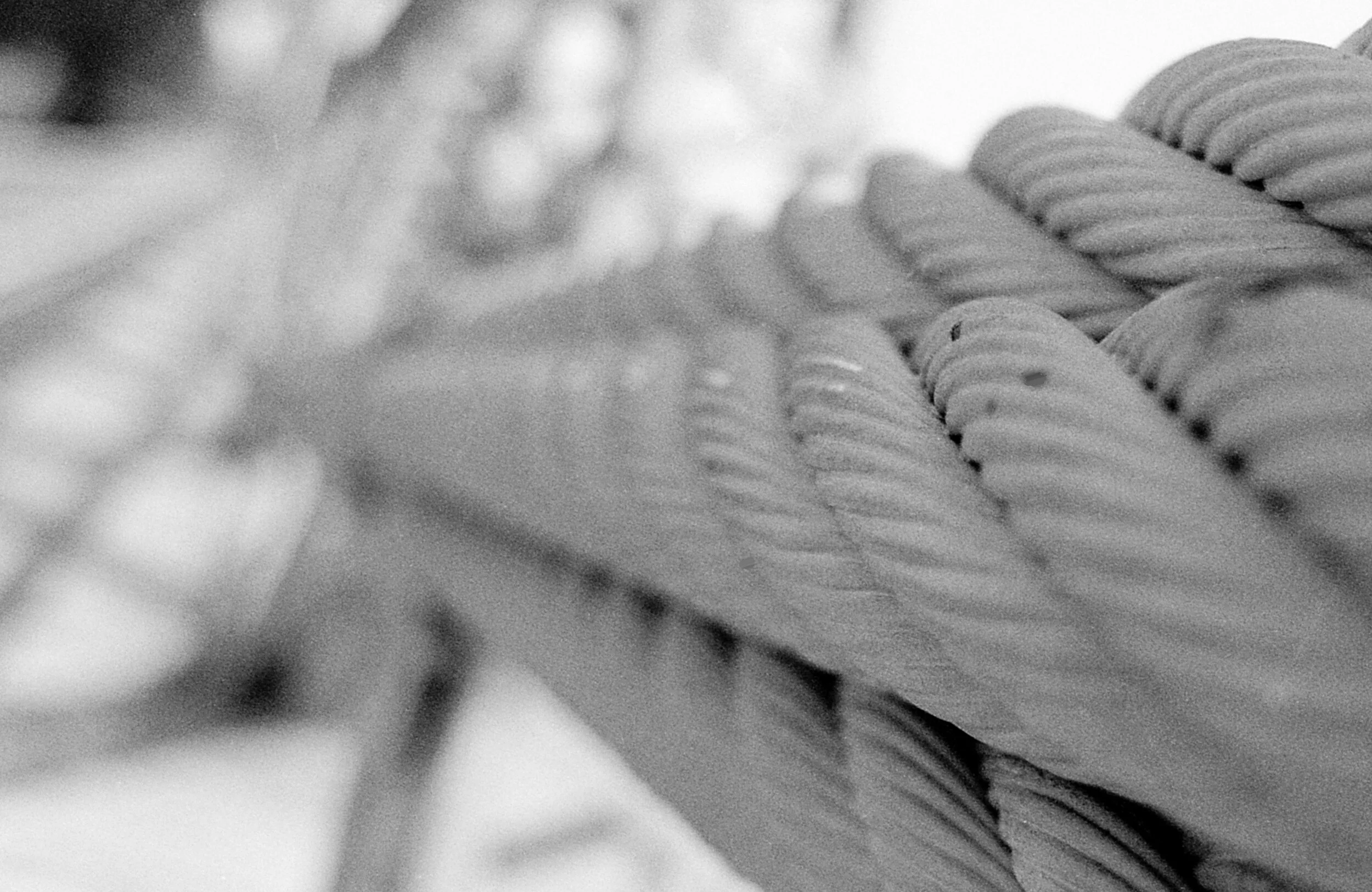 img002.JPG